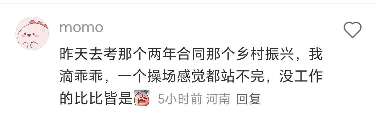 3500元/月的乡村振兴员