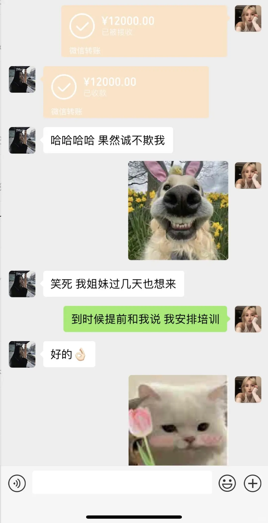 礼仪模特，500一天?