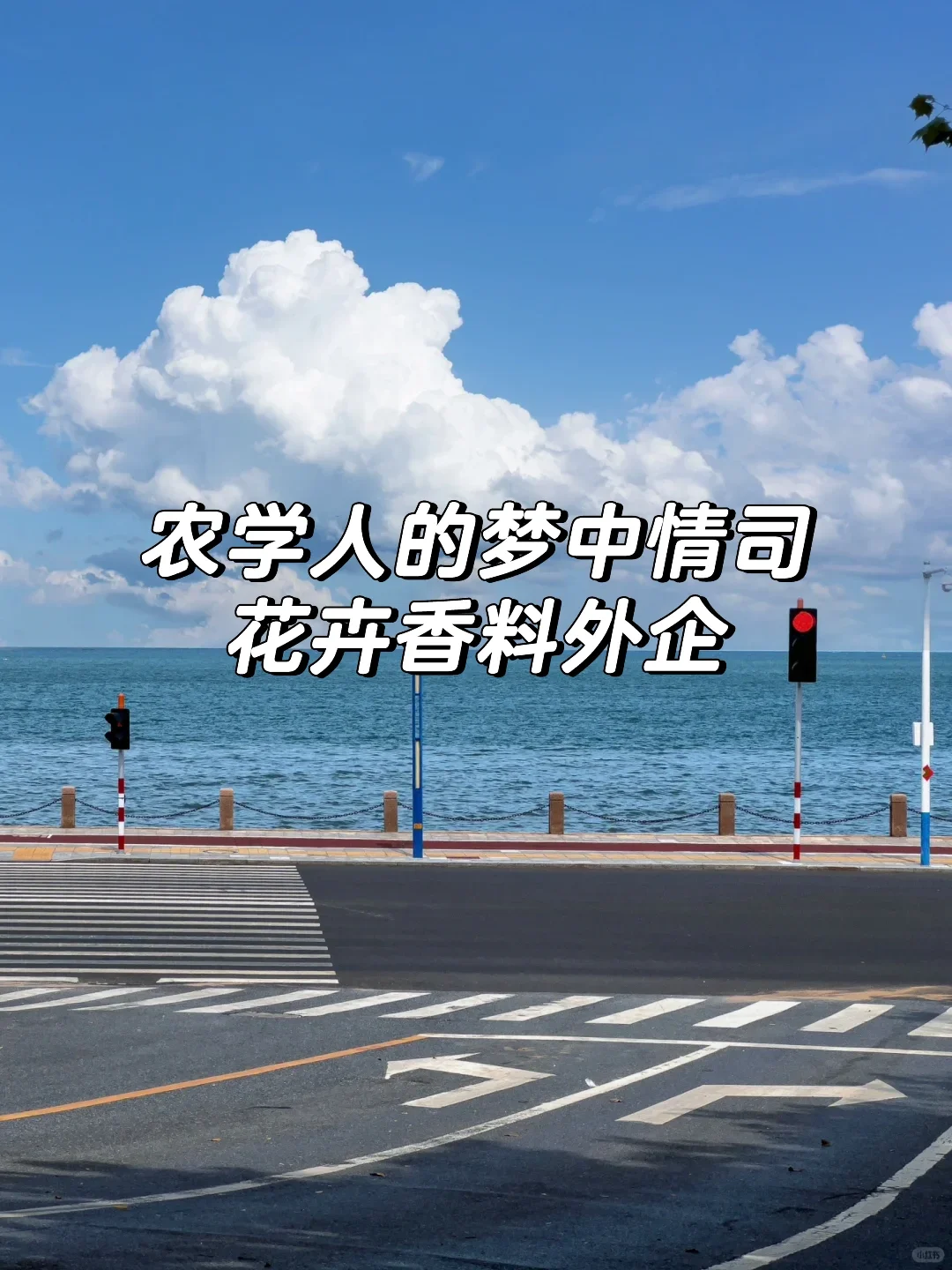 农学人的出路不止一条,试试花卉香料外企
