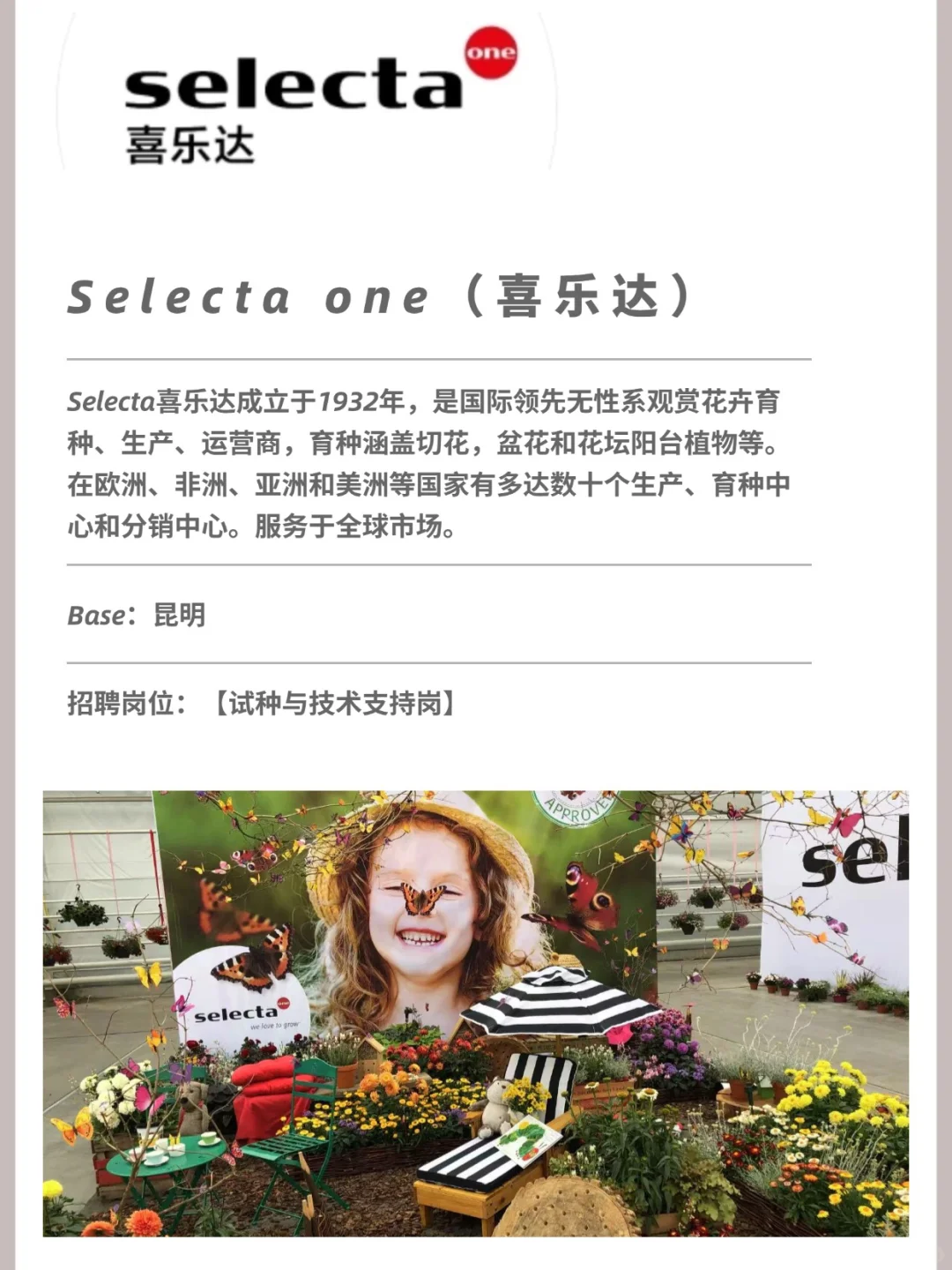 新农 talk 丨 昆明花卉外企招聘分享