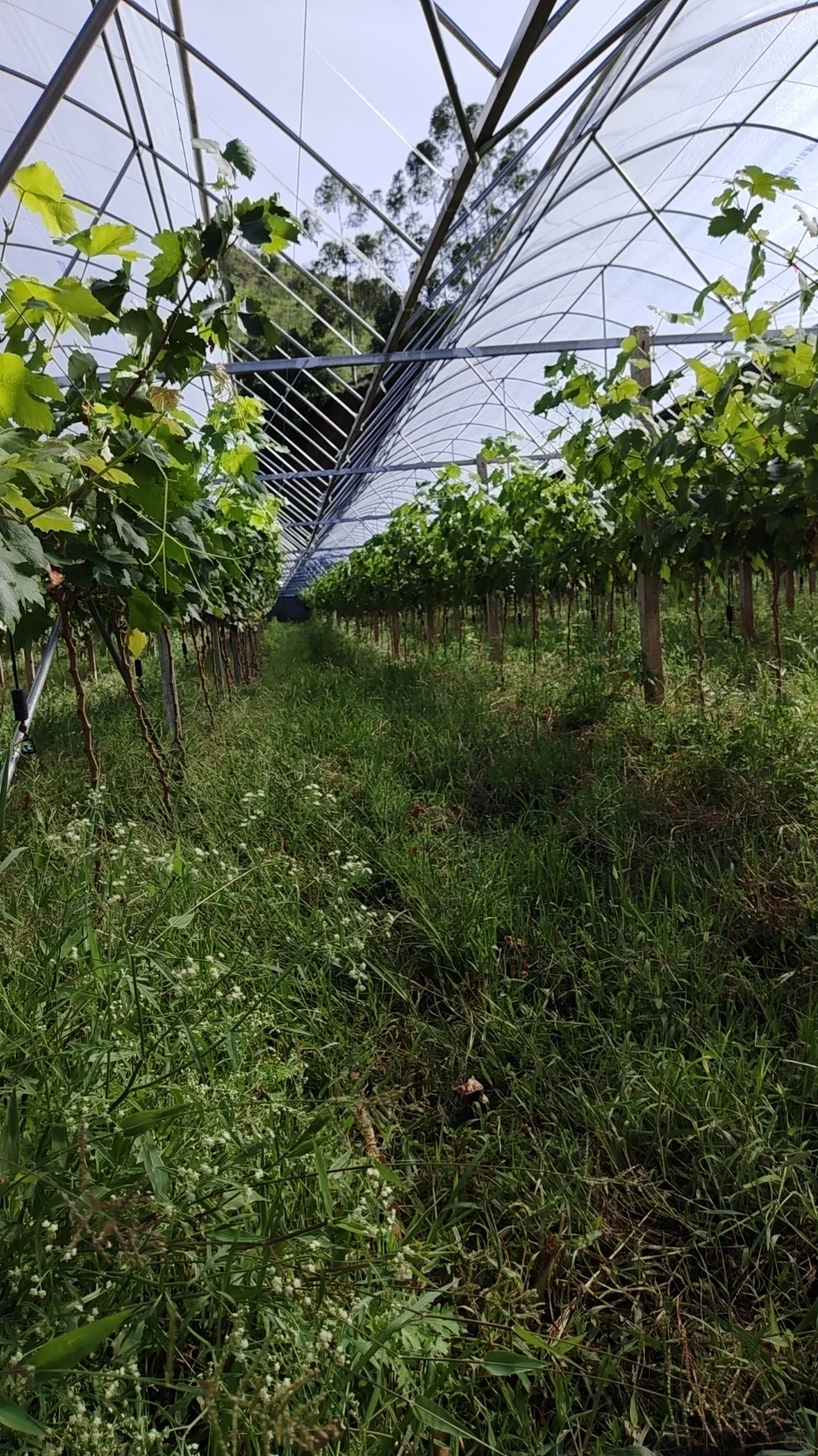基地招工