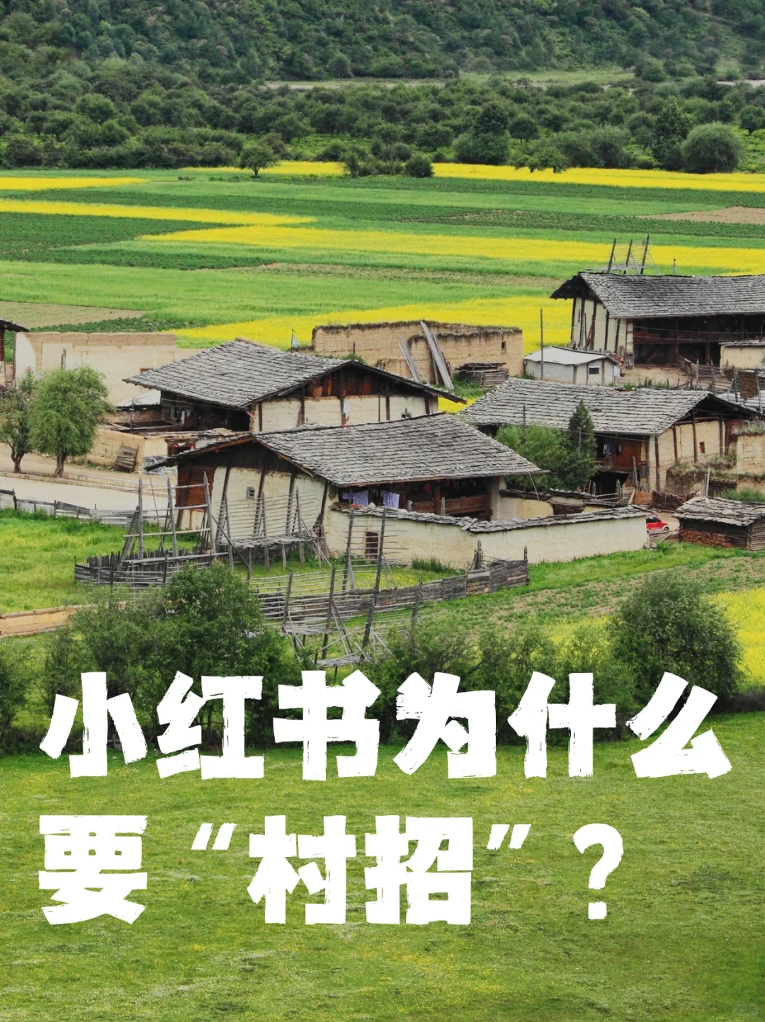 小红书为啥搞村招?看完秒懂!