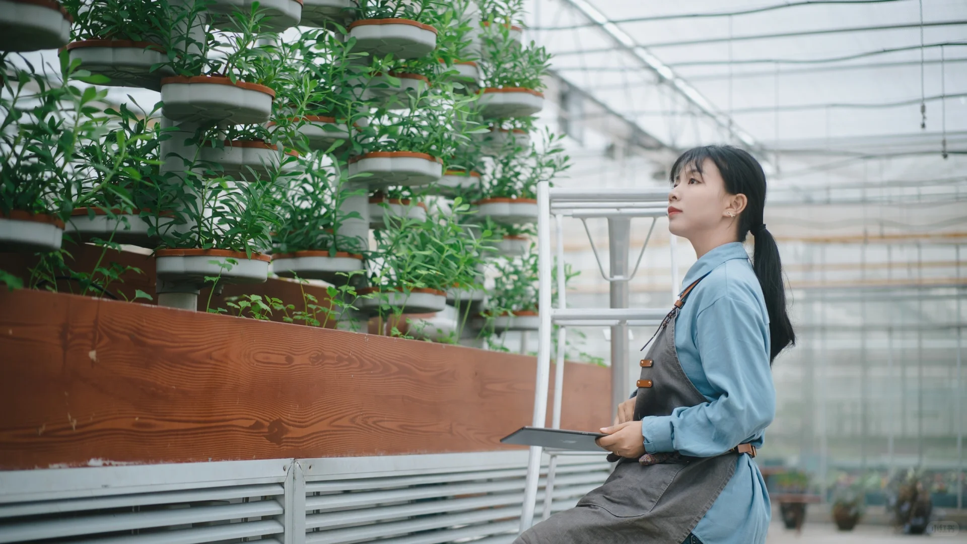 用镜头讲述农林科技的伟大
