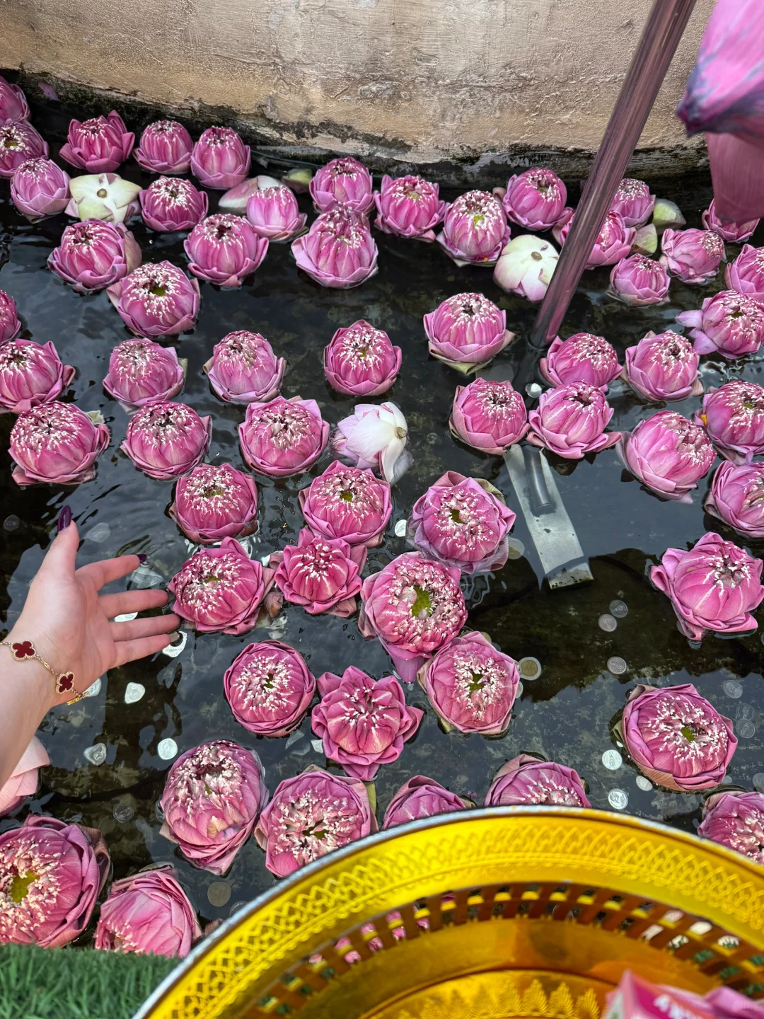 来曼谷拜拉克希米女神啦
