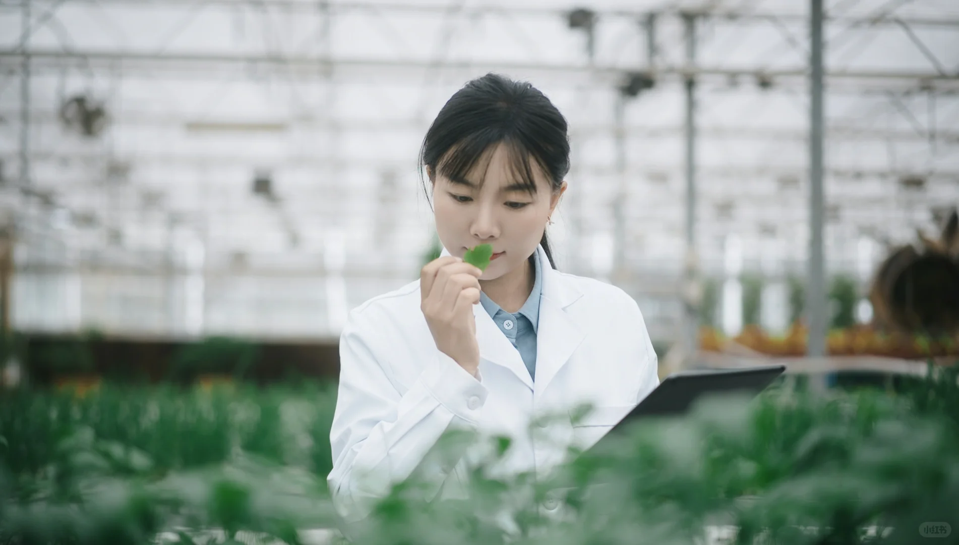 用镜头讲述农林科技的伟大