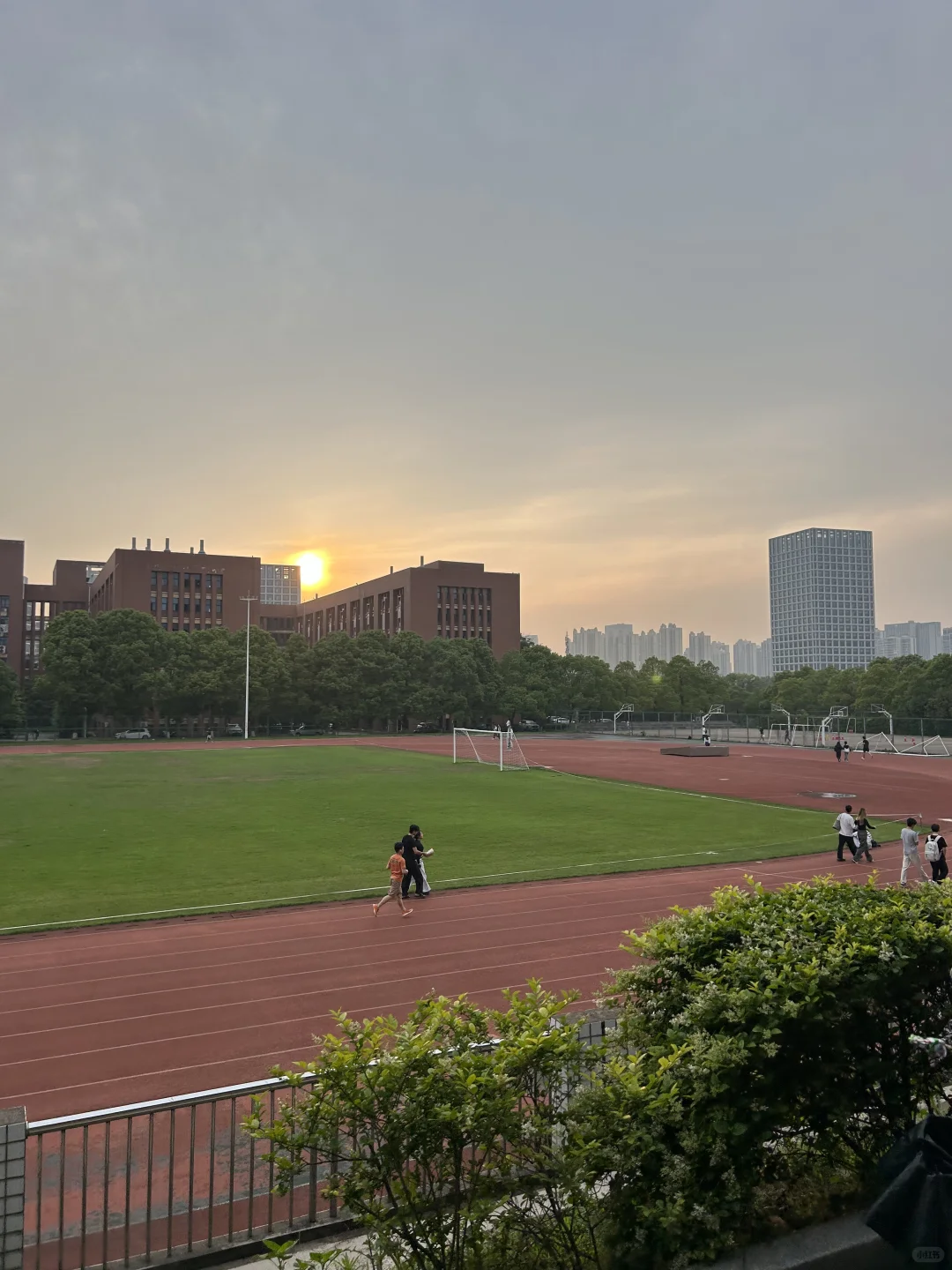 为什么强烈推荐你报考湖南农业大学