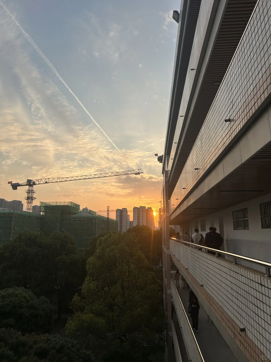 为什么强烈推荐你报考湖南农业大学