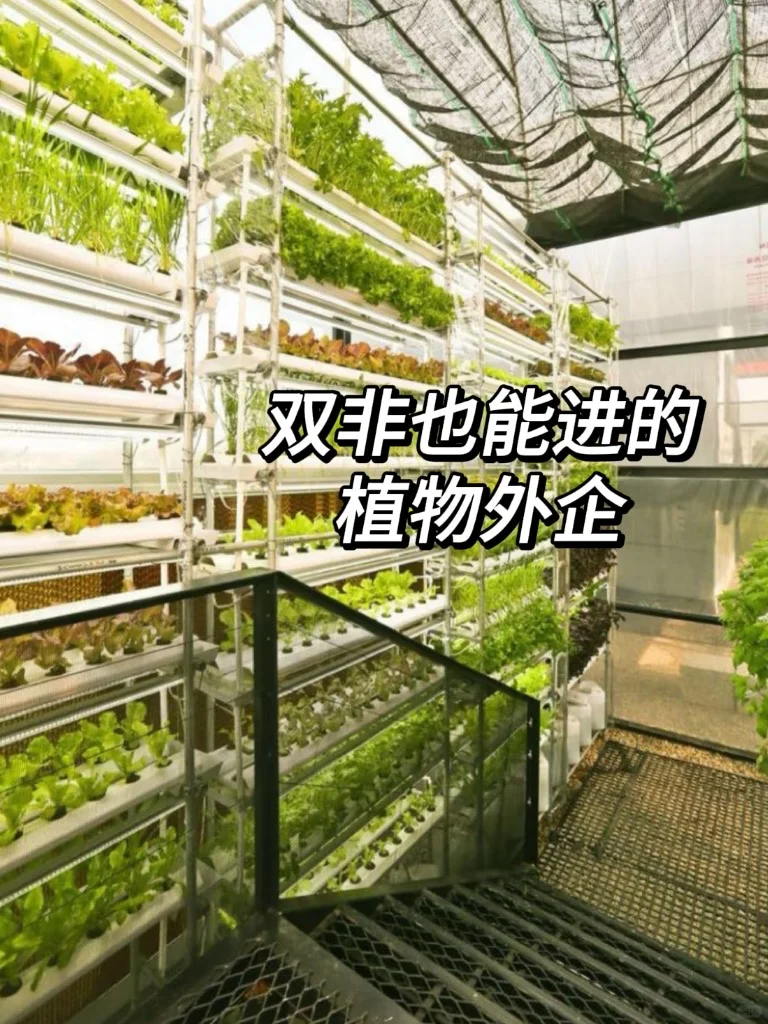 双非也能进的植物外企