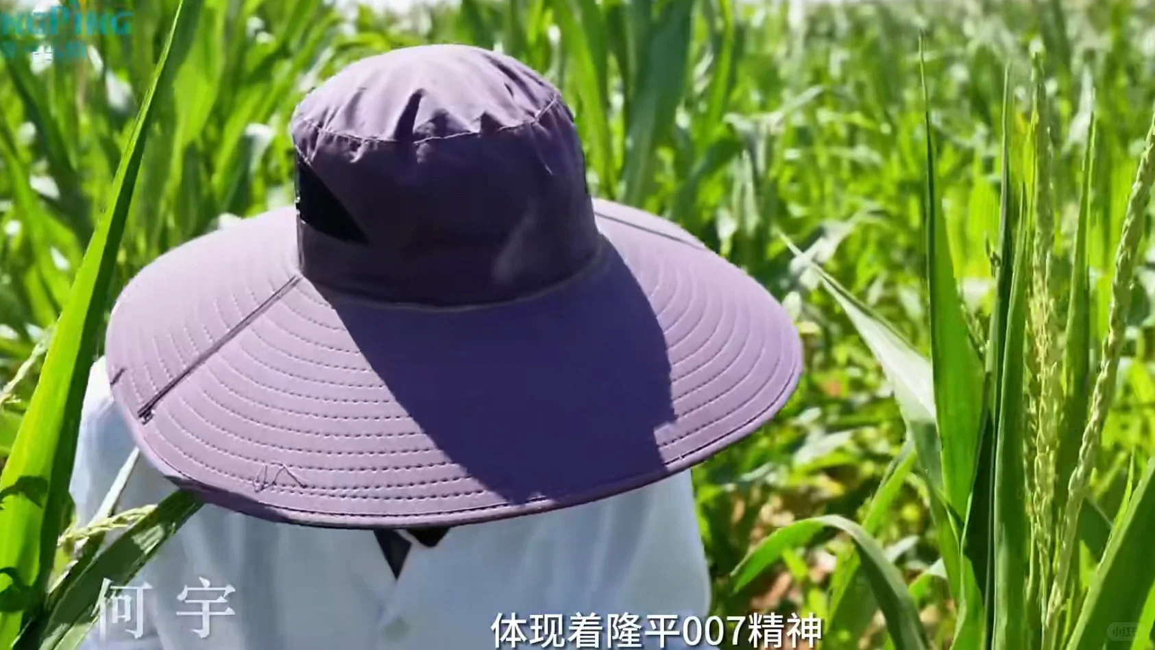 他们是大地上的诗人