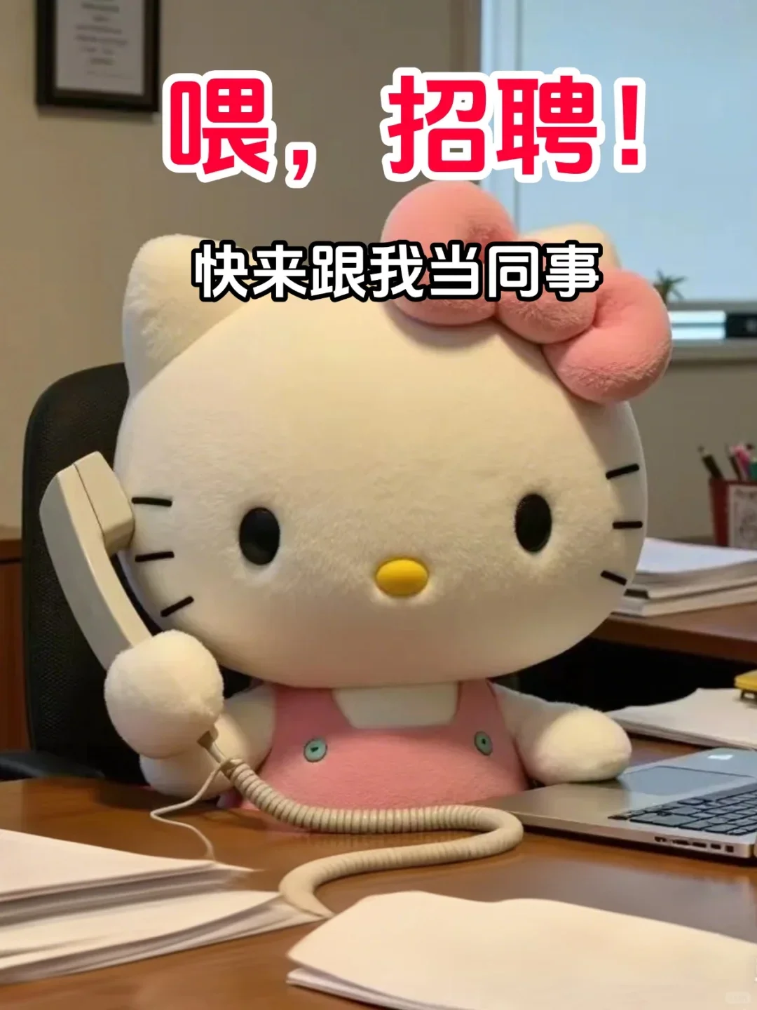 kitty招同事了!!!