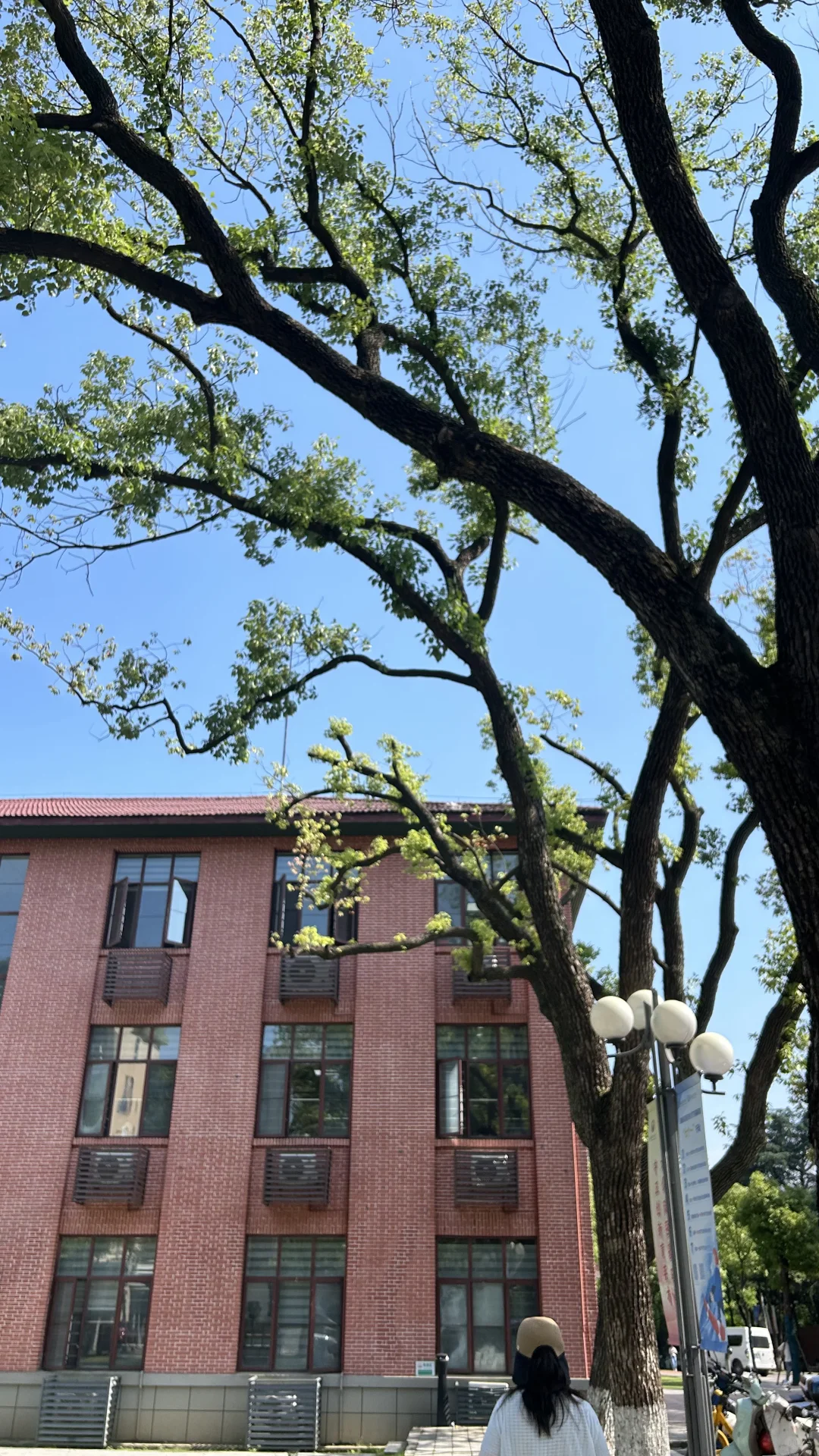 为什么强烈推荐你报考湖南农业大学