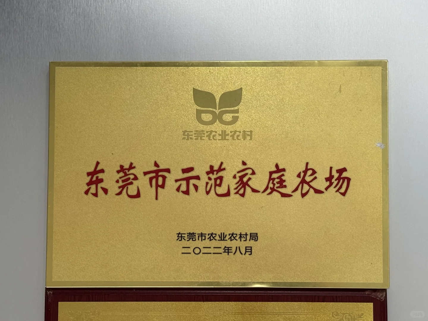 农场招新❗️是人才❗️进莞来❗️