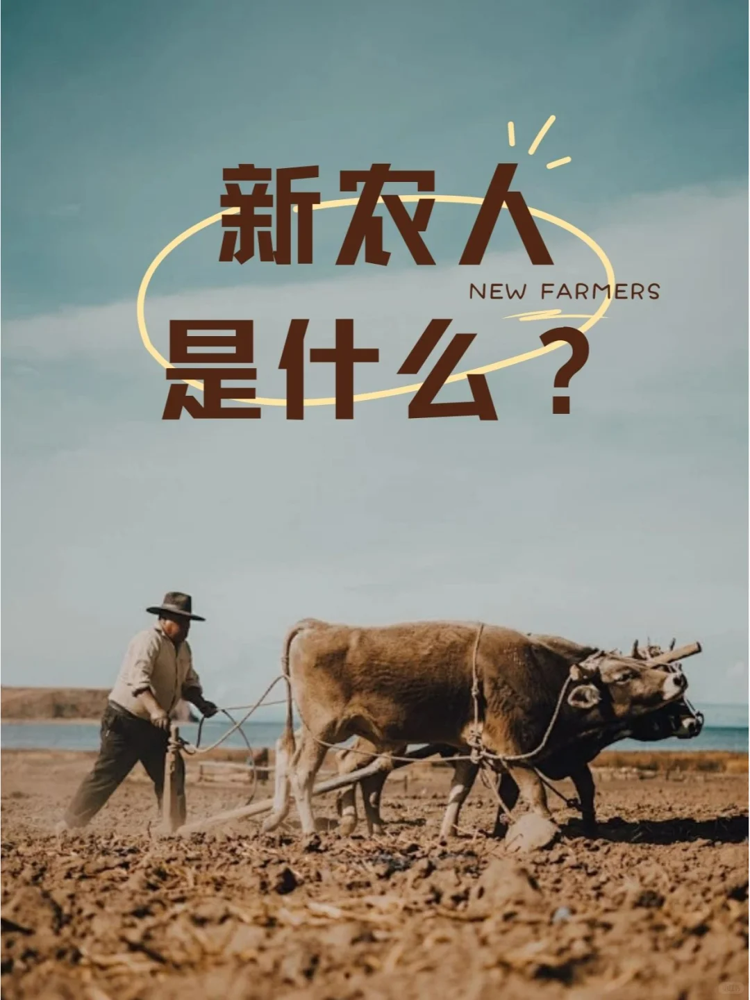 你对新农人有了解吗?