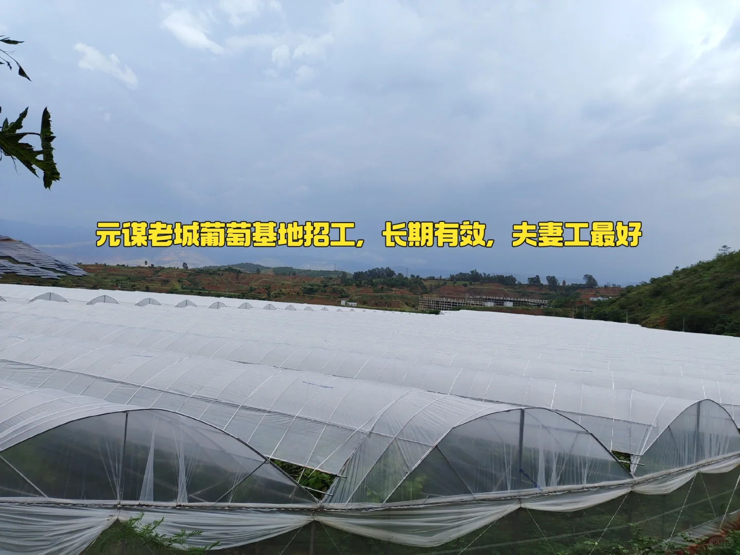 基地招工