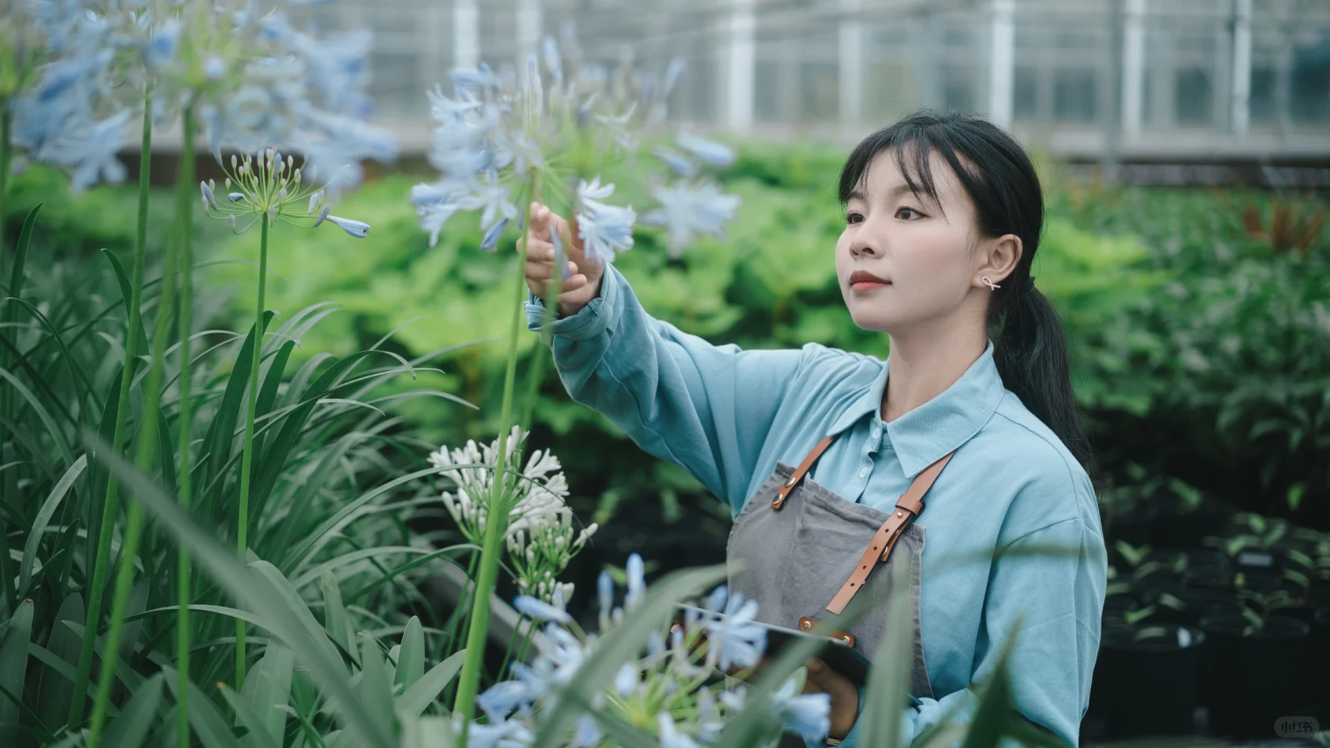用镜头讲述农林科技的伟大