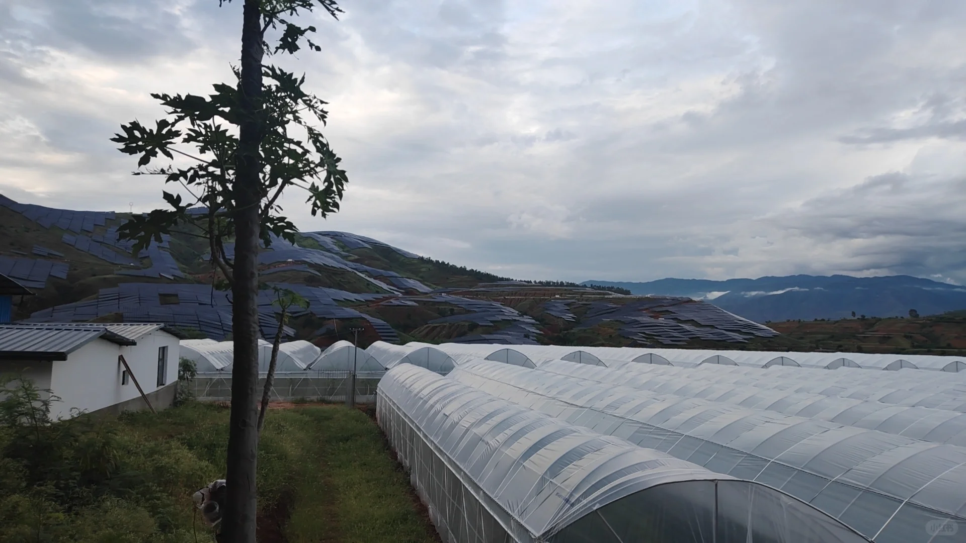 基地招工