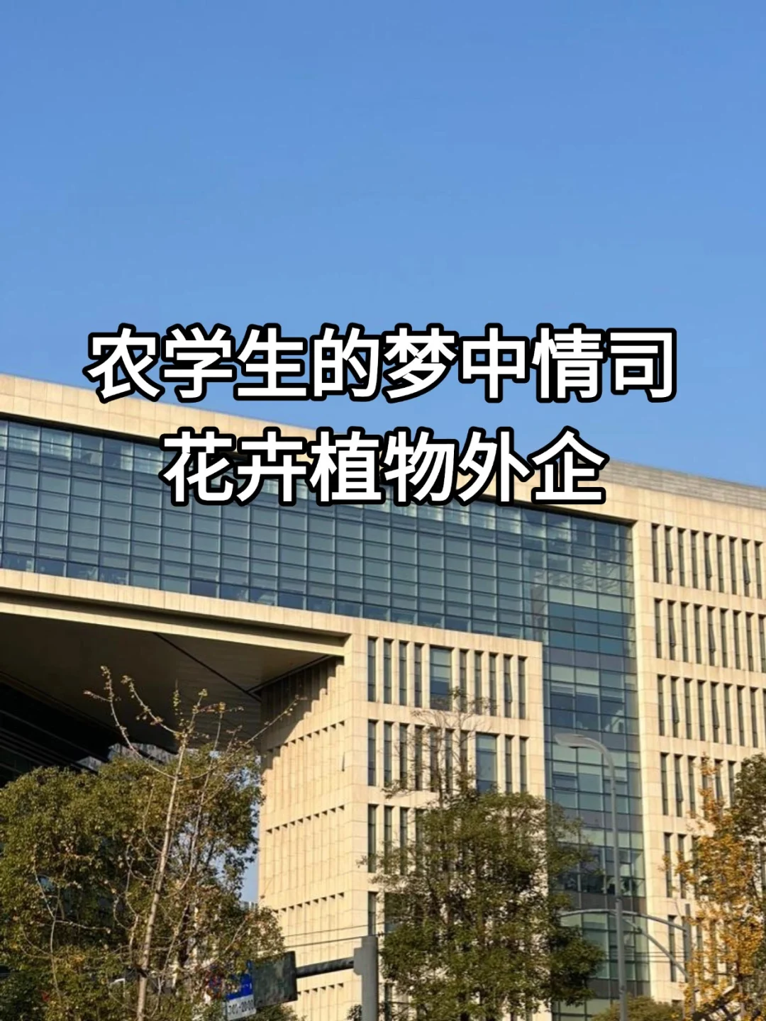 农学生的梦中情司—花卉植物外企
