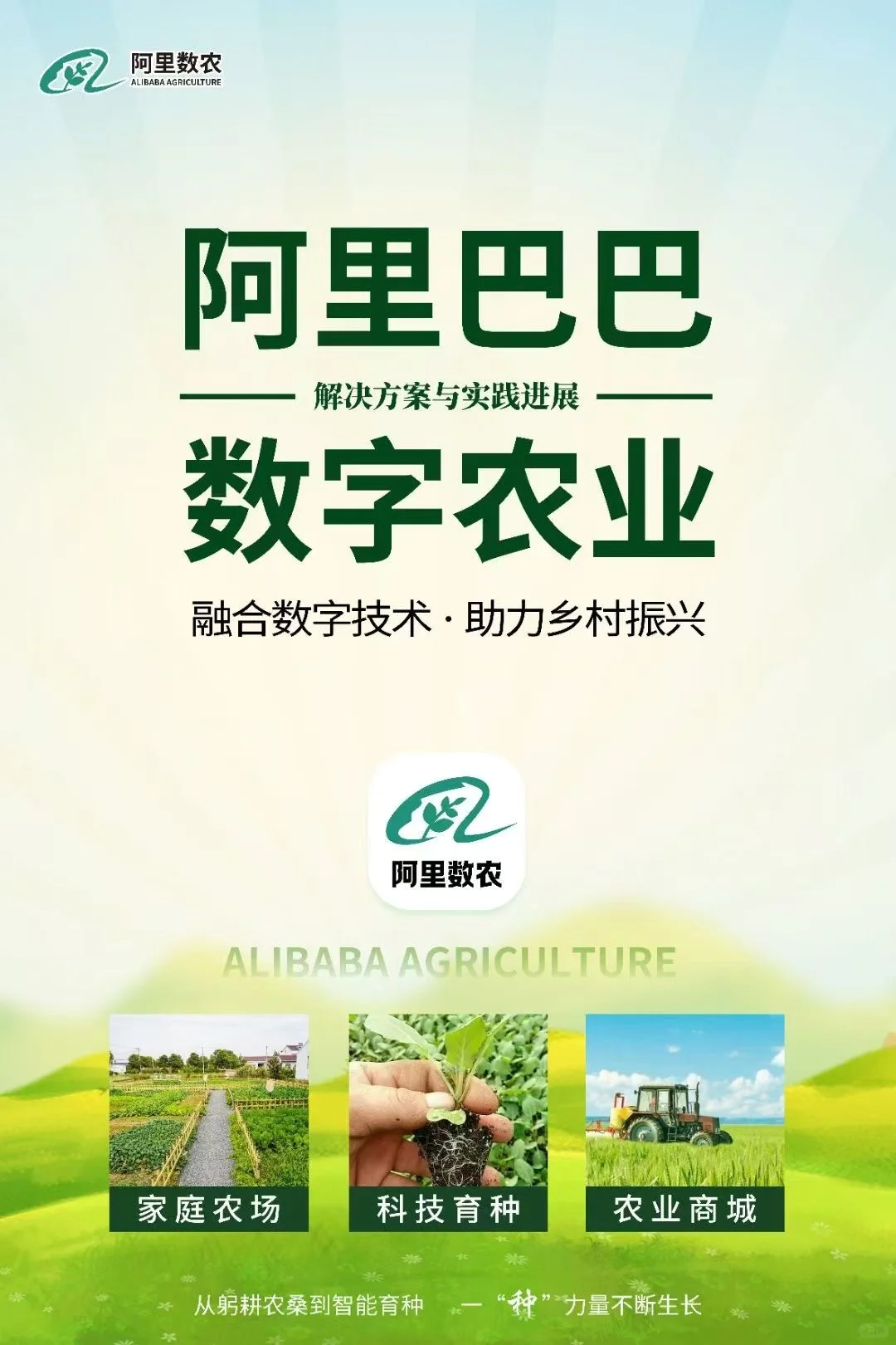 阿里巴巴数字农业