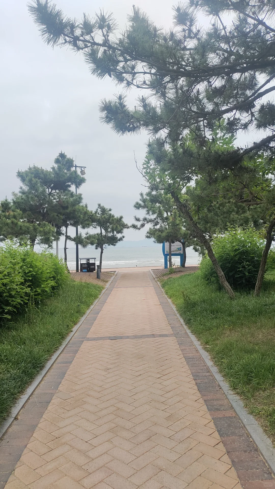 灵魂伴侣