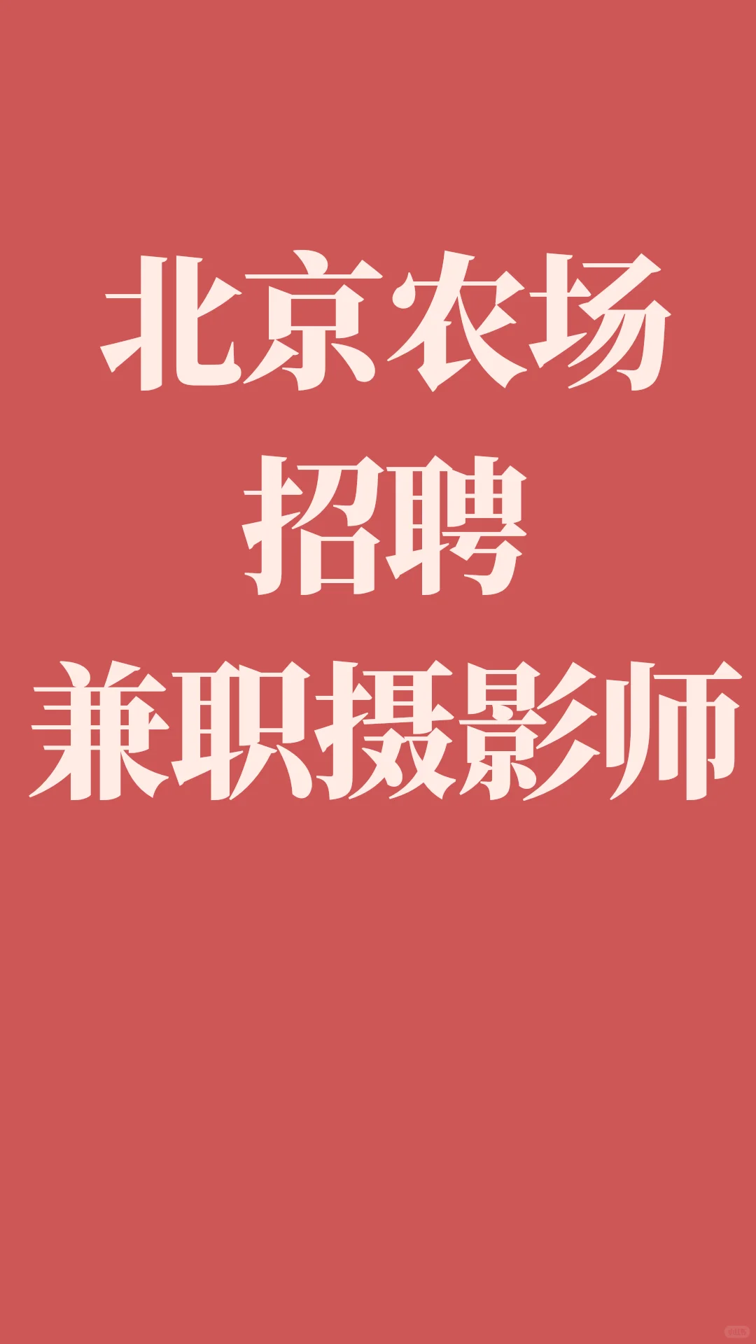 北京农场招聘摄影师❗️