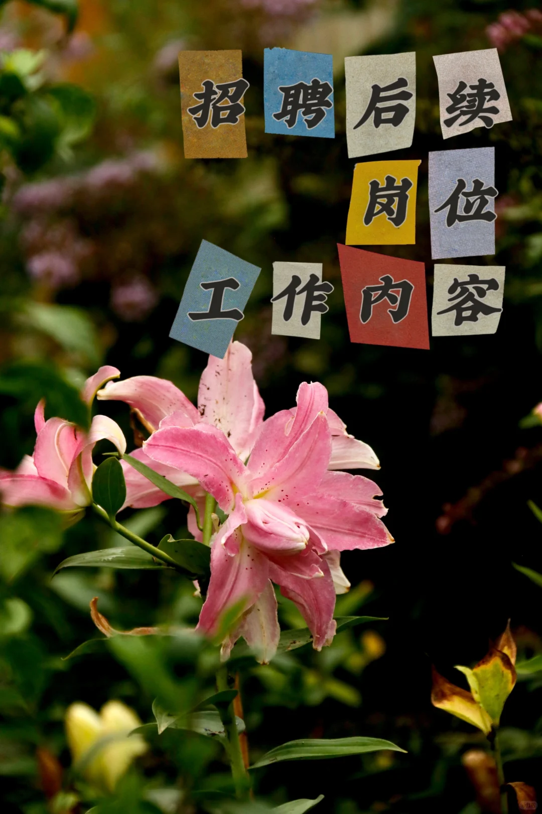关于招聘 详细可以看看