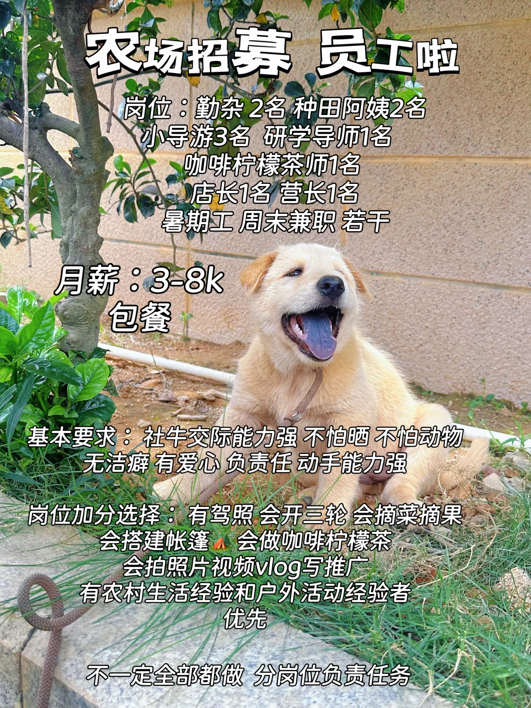 招聘农场员工啦！兼职 全职 暑期工 都招喔！