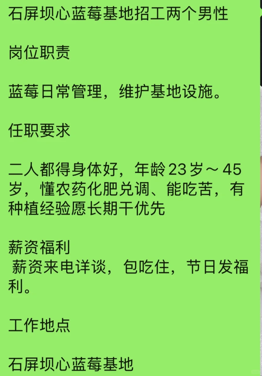 昆明农业大学生来应聘了
