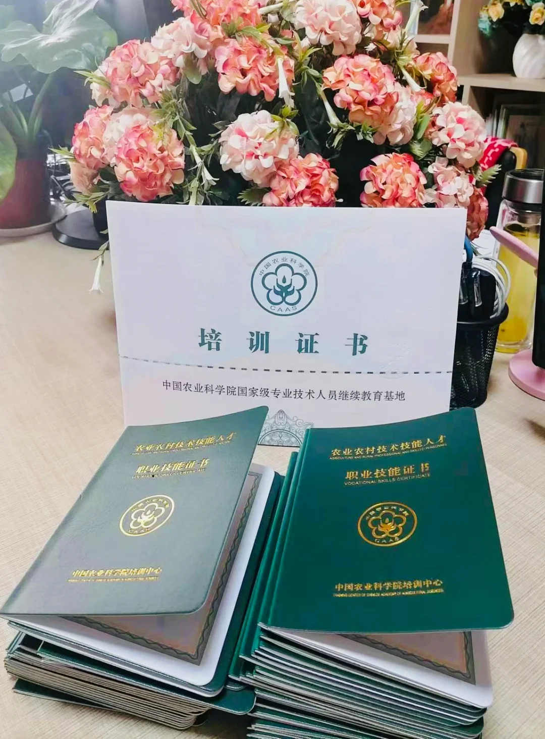 乡村振兴,人才是关键