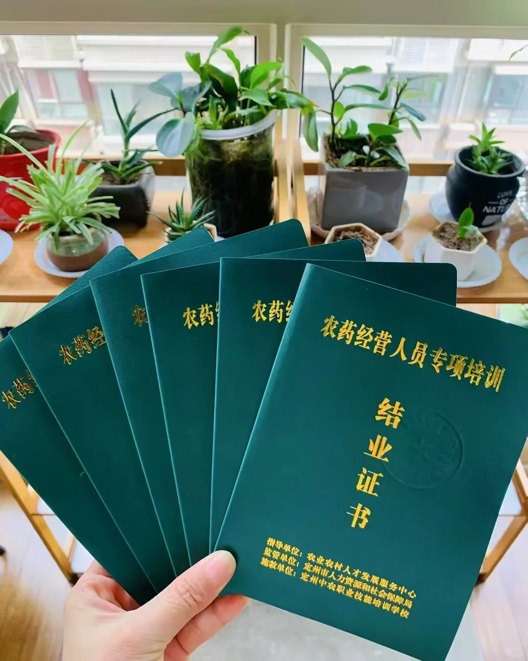 农业农业农村人才发展类证书