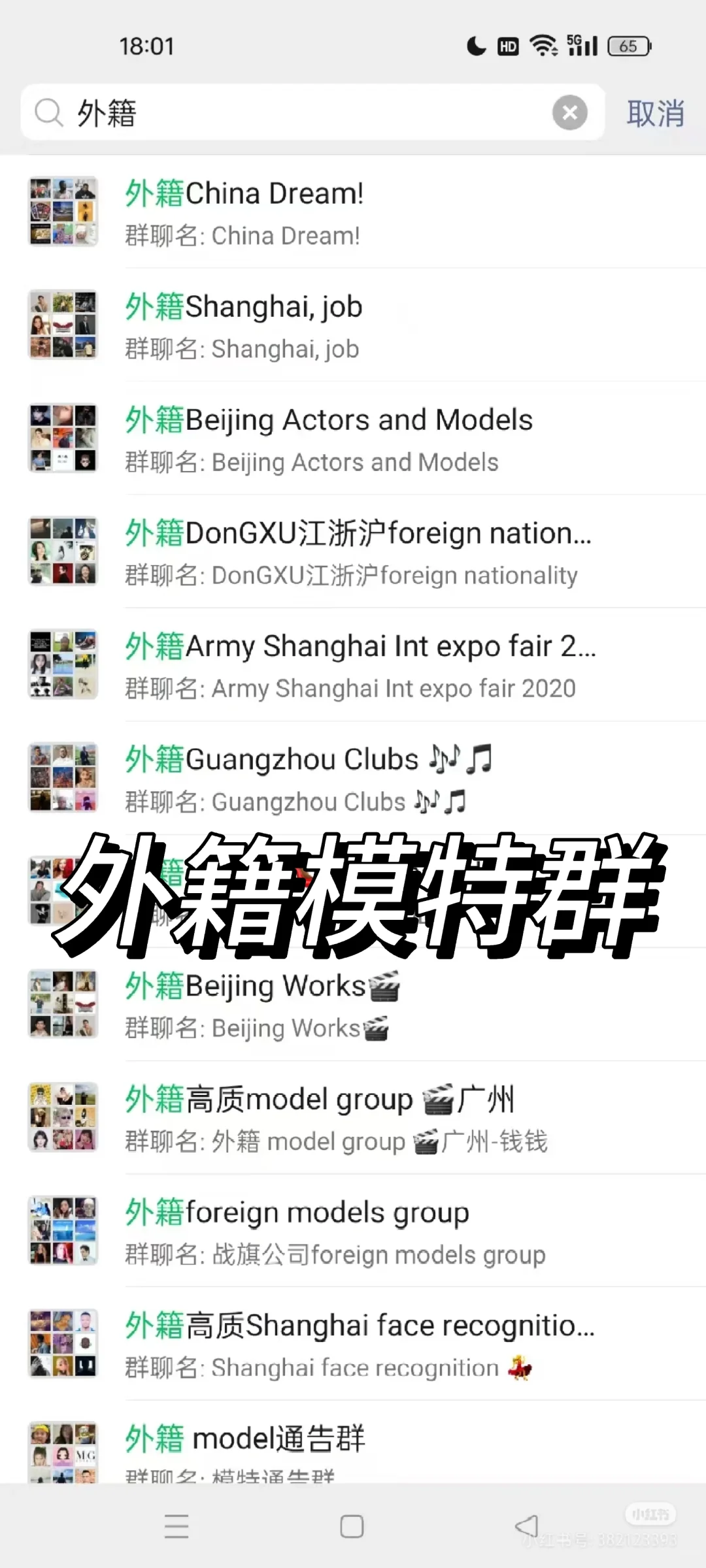 全国外籍模特群，高质量外模，外籍模特