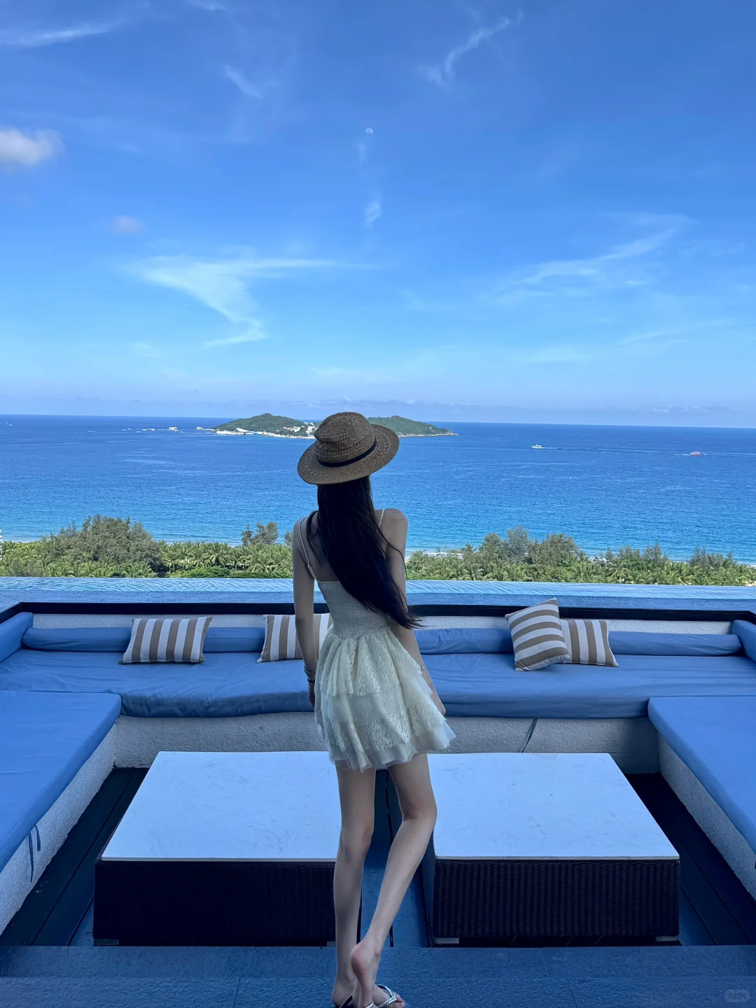 小狗在摇尾巴