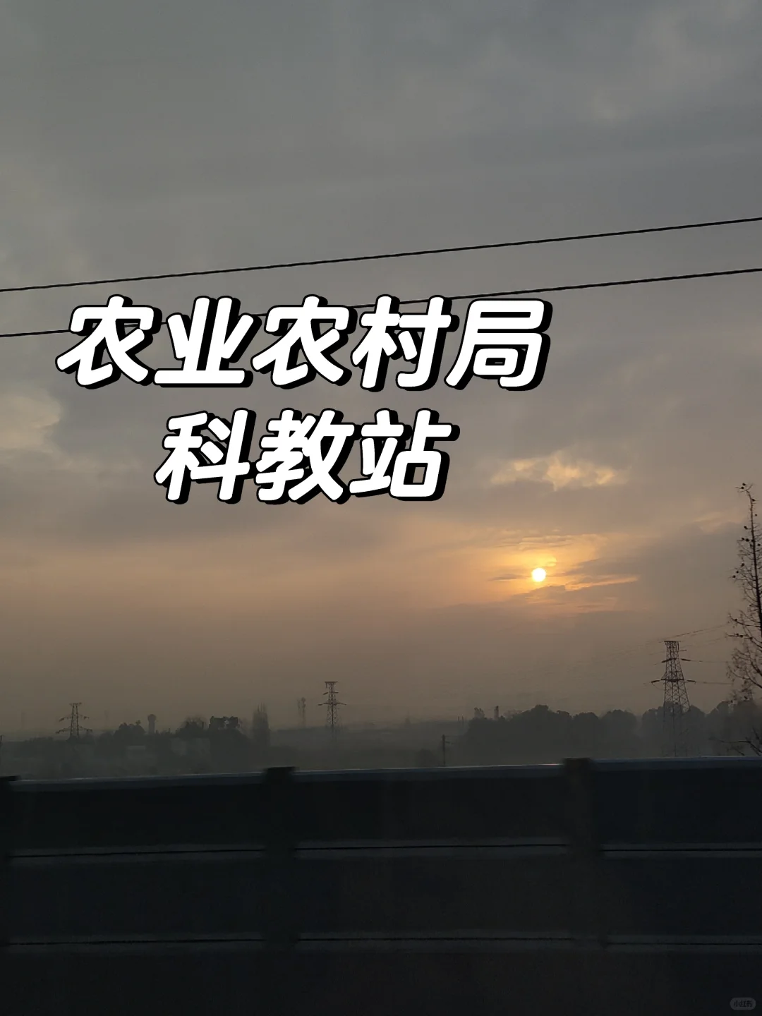 四川人才引进~农业农村局科教站