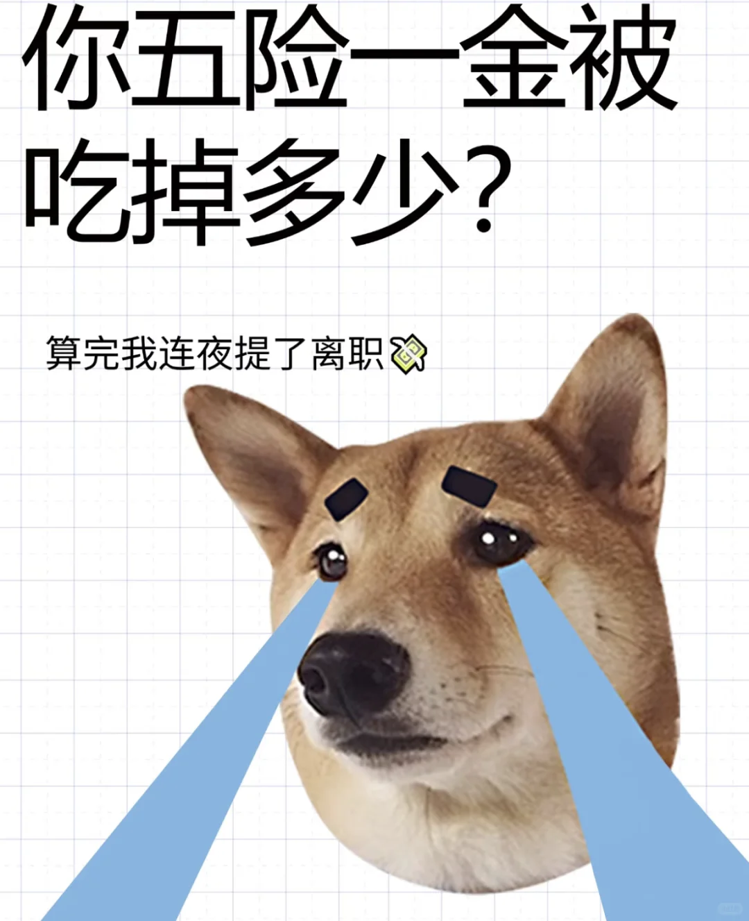 ?五险一金不求人,四张图轻松get✓