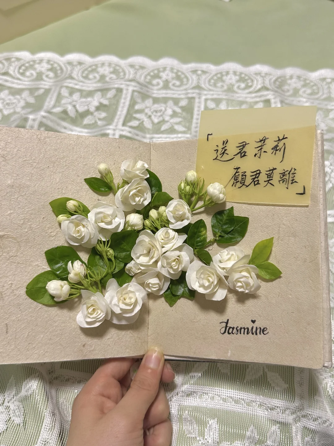 纸胶带茉莉|腌入味的纯欲天花板?