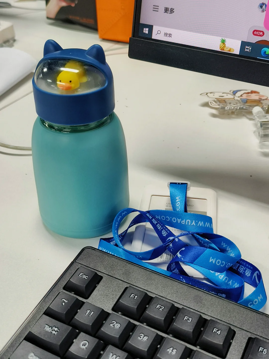 成都找工作第30天,终于上岸鱼泡神仙公司