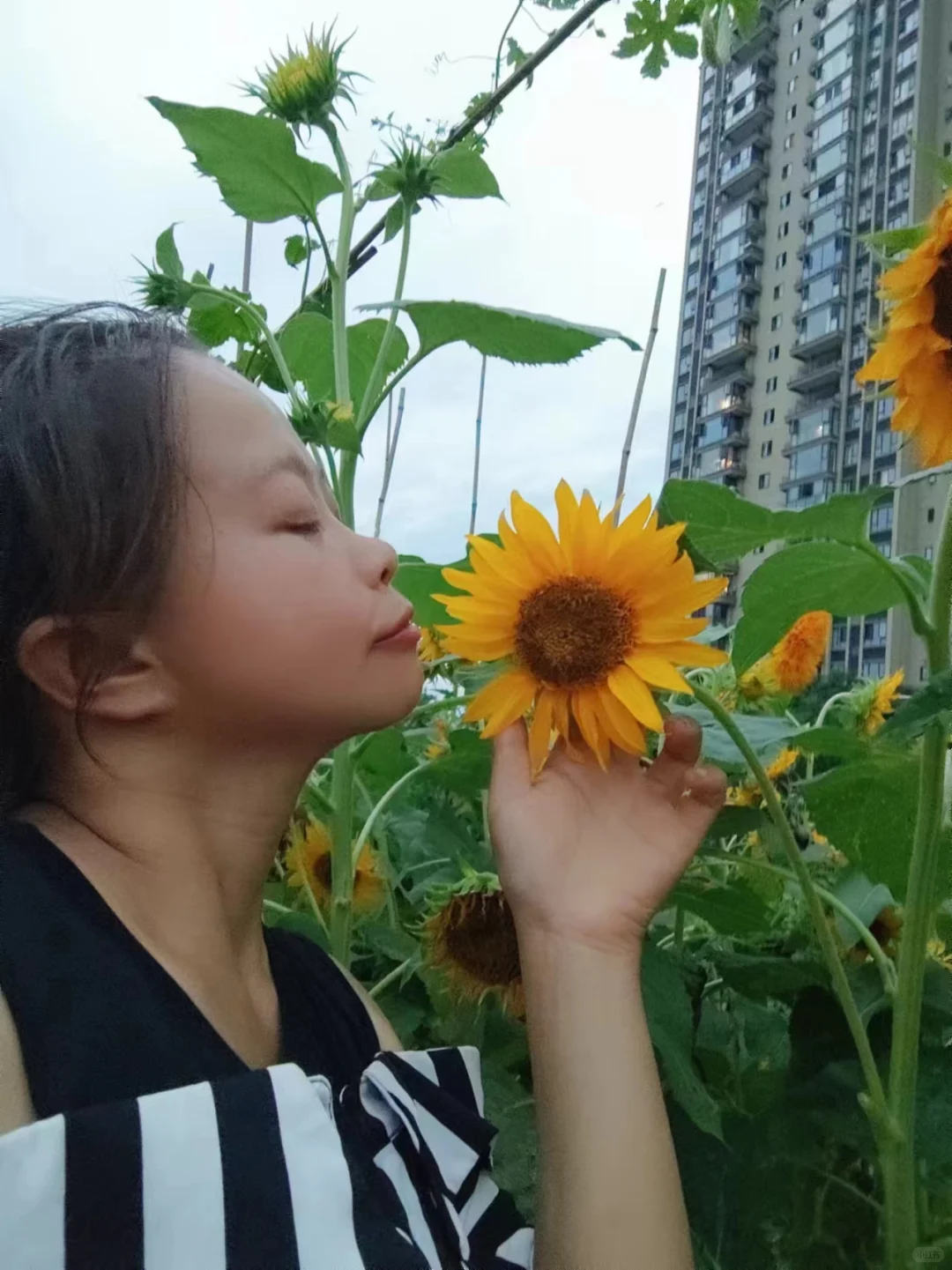 农场招聘义工