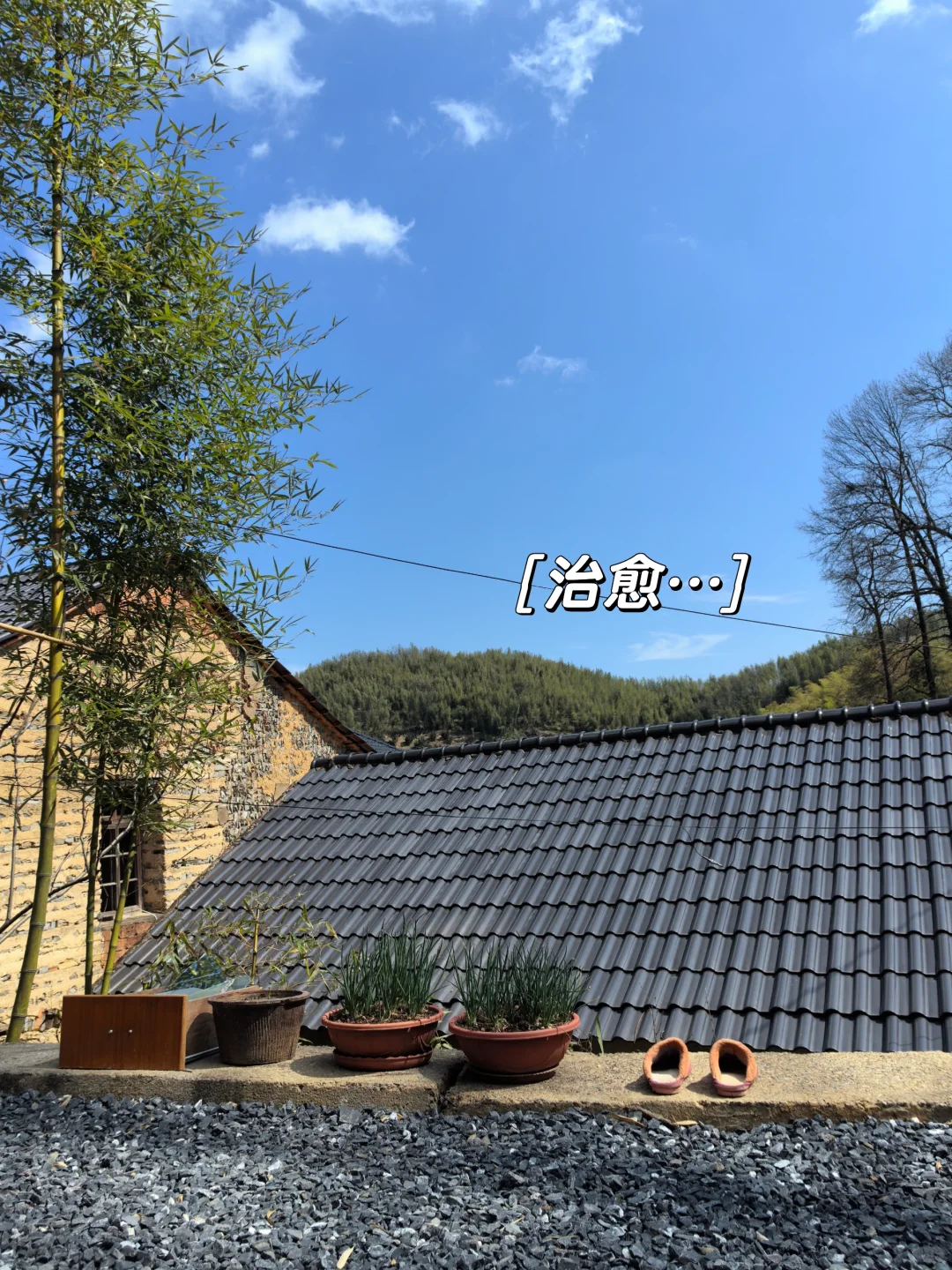 我找到工作啦,公司在山里,只有我一个员工