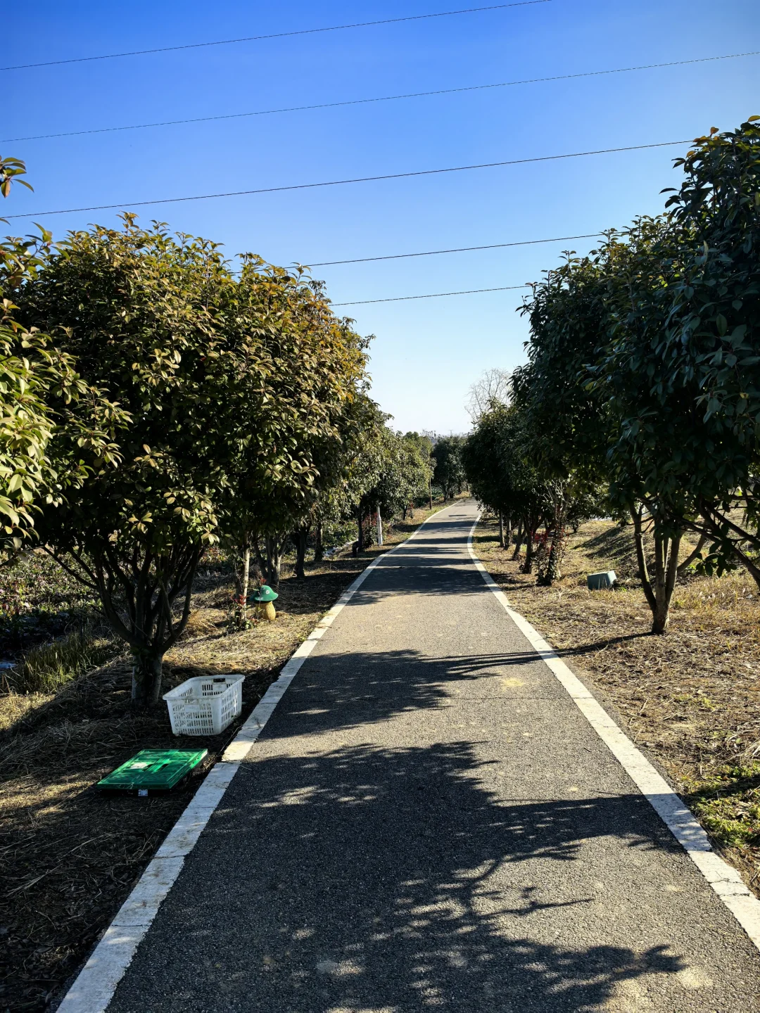 武汉菜园上线,招聘新媒体、长工各一名。