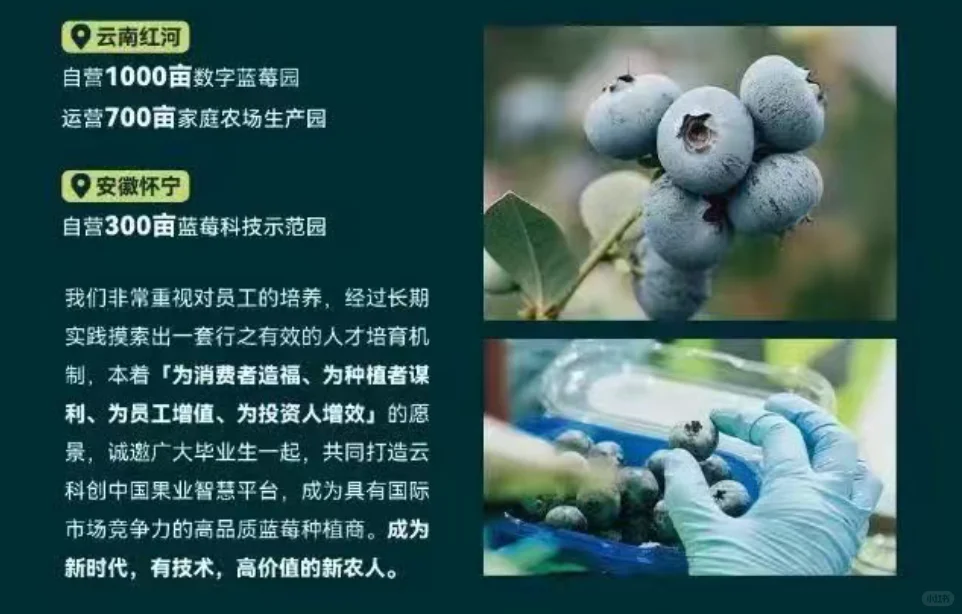 农学有岗 薪资可观｜蓝莓种植公司