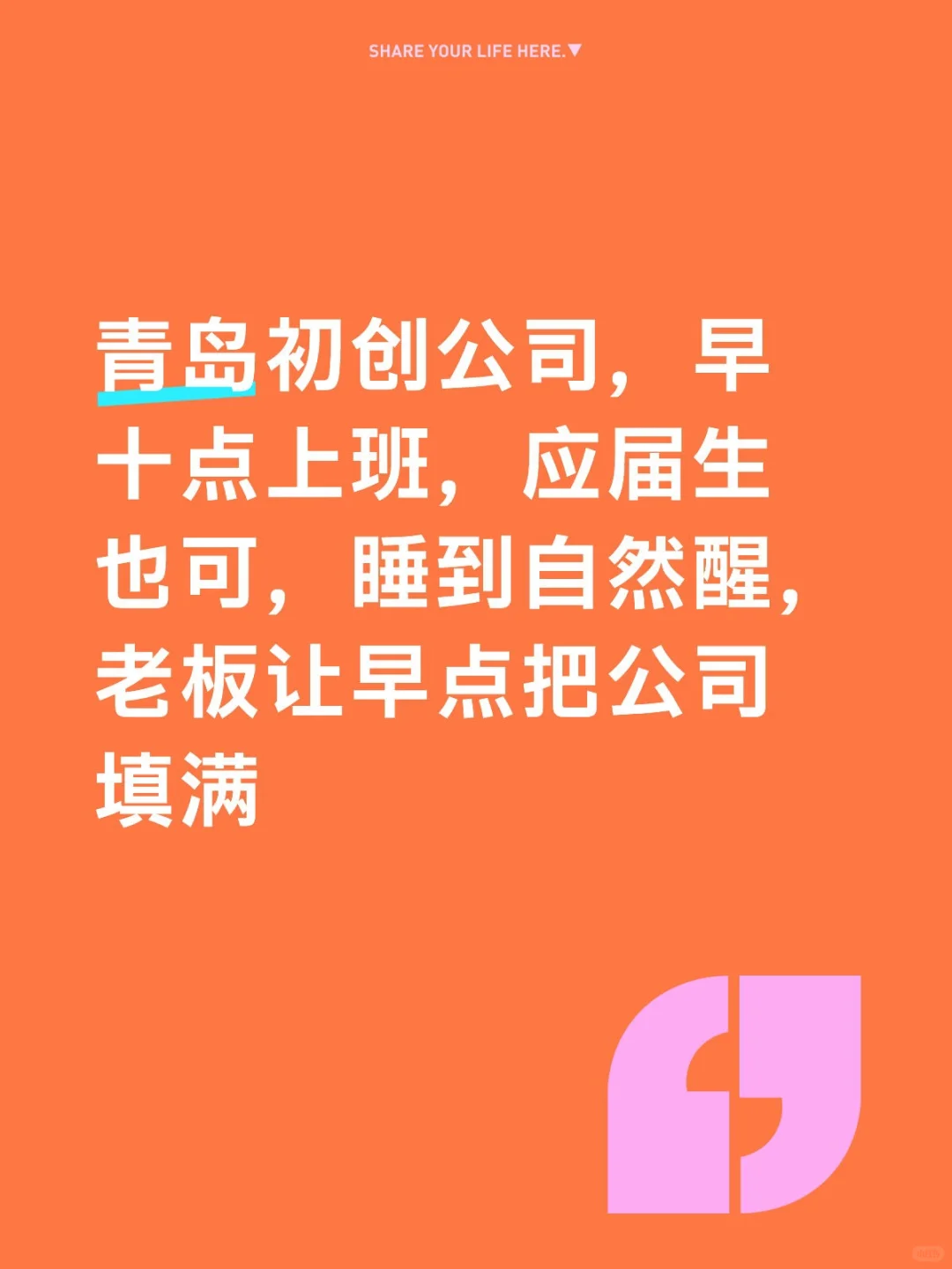 最疼应届生的老板