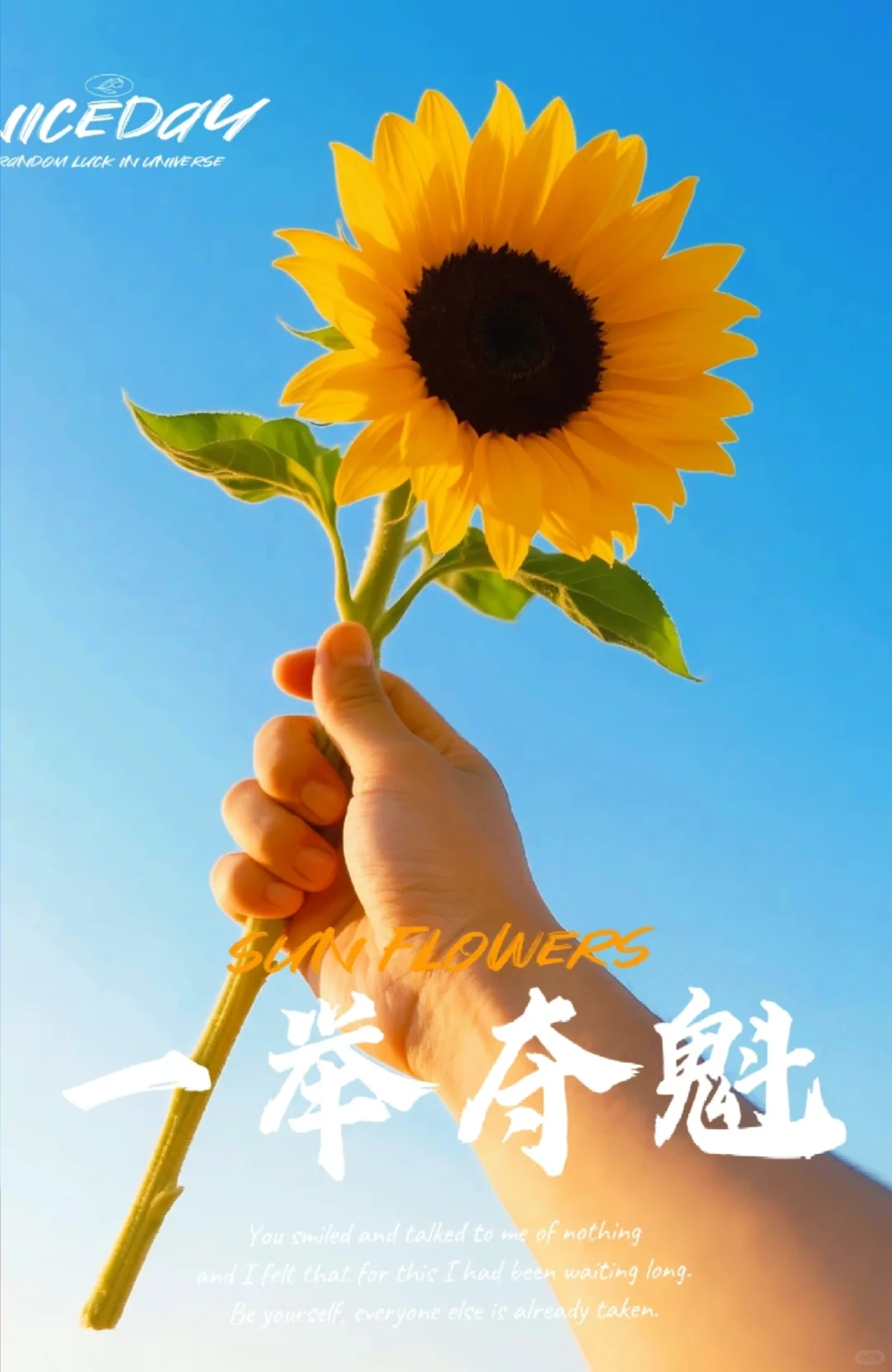 一身夺魁的光☀️