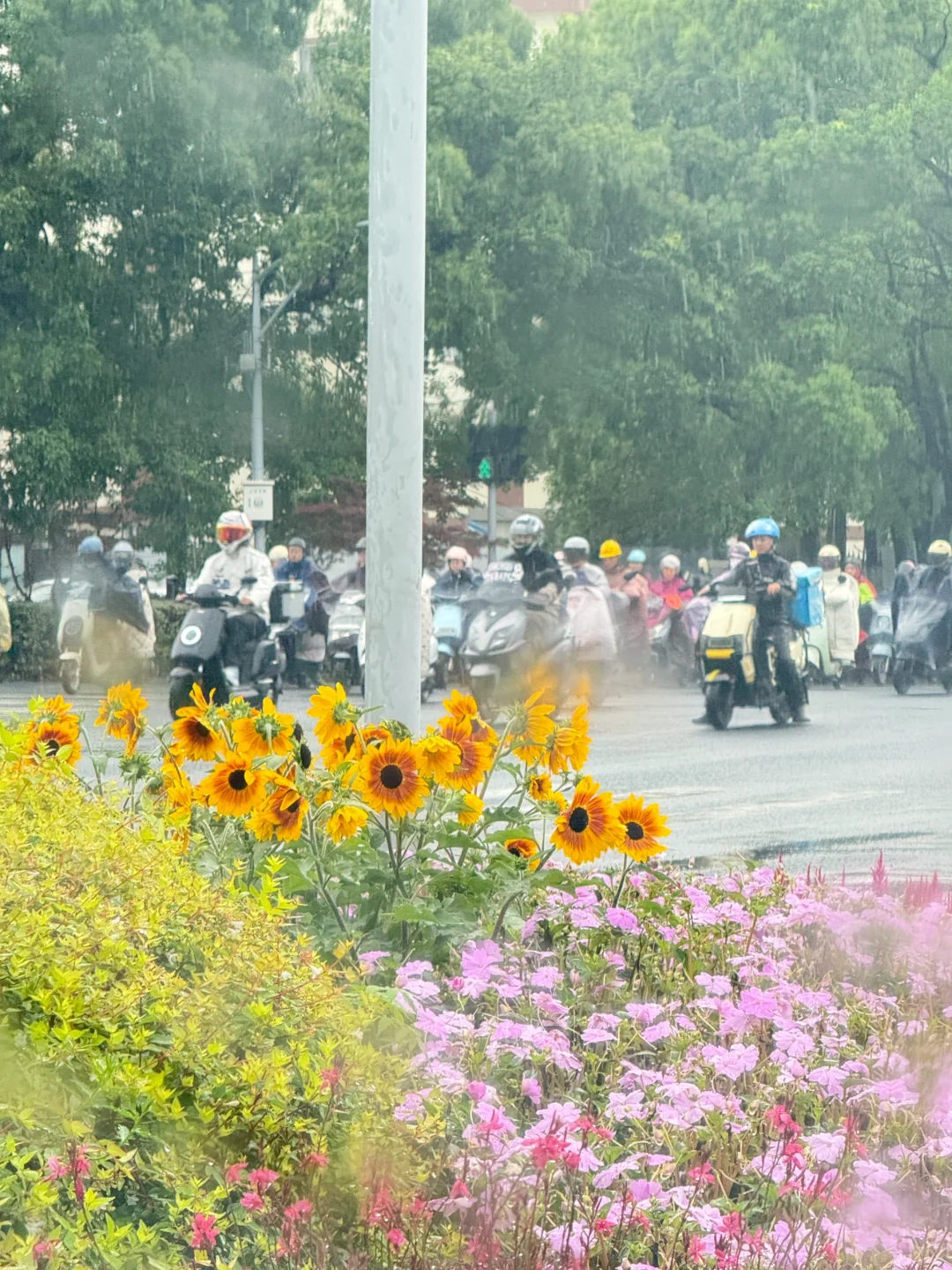 关于要不要跳槽,分享我的一个万能公式: