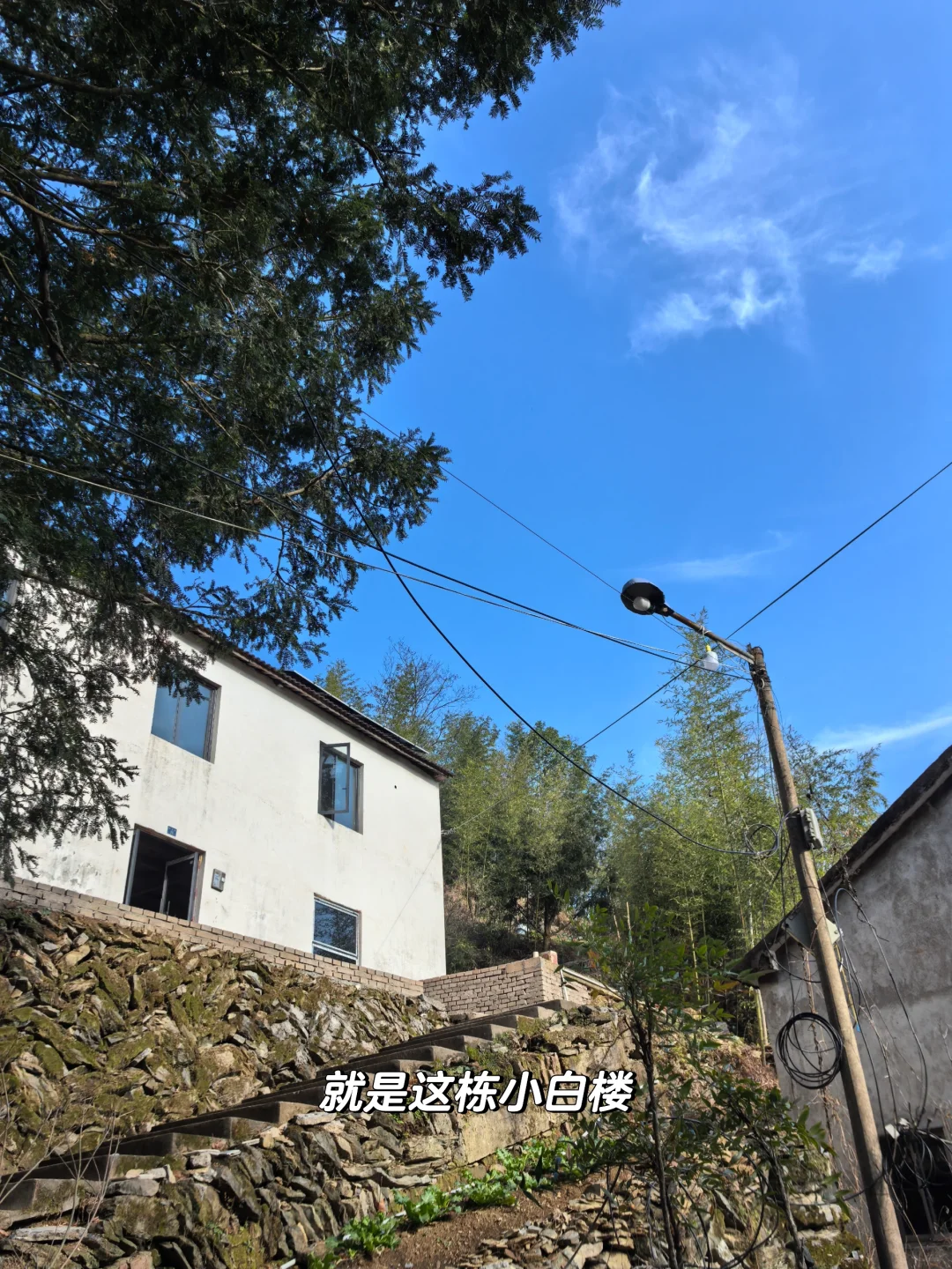 我找到工作啦,公司在山里,只有我一个员工