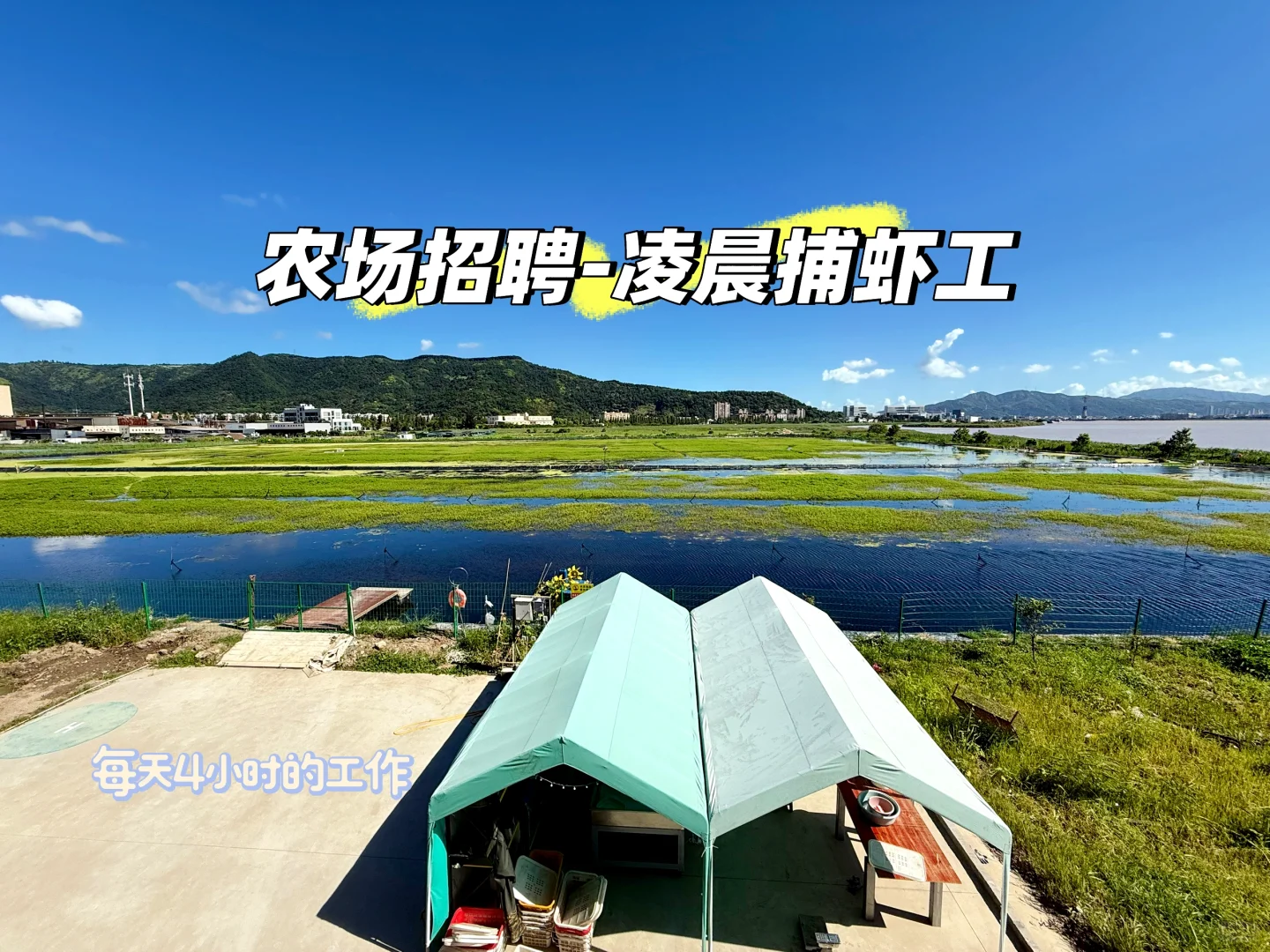 新农人招募|凌晨捕虾工作