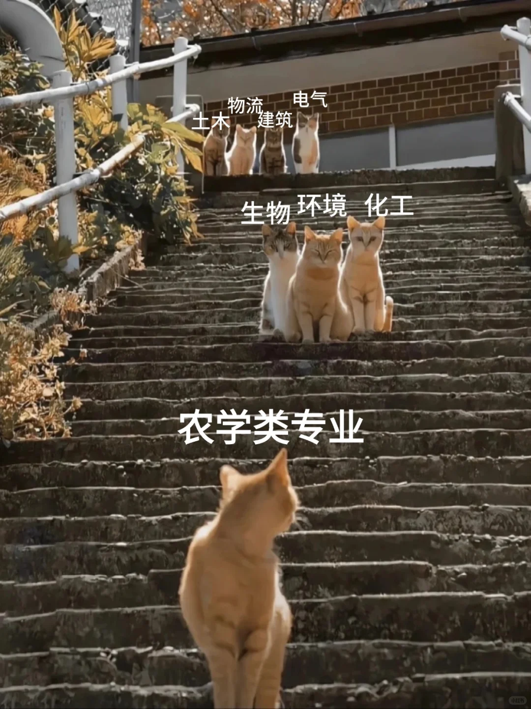 拜托?农学类专业的宝子们一定要刷到啊