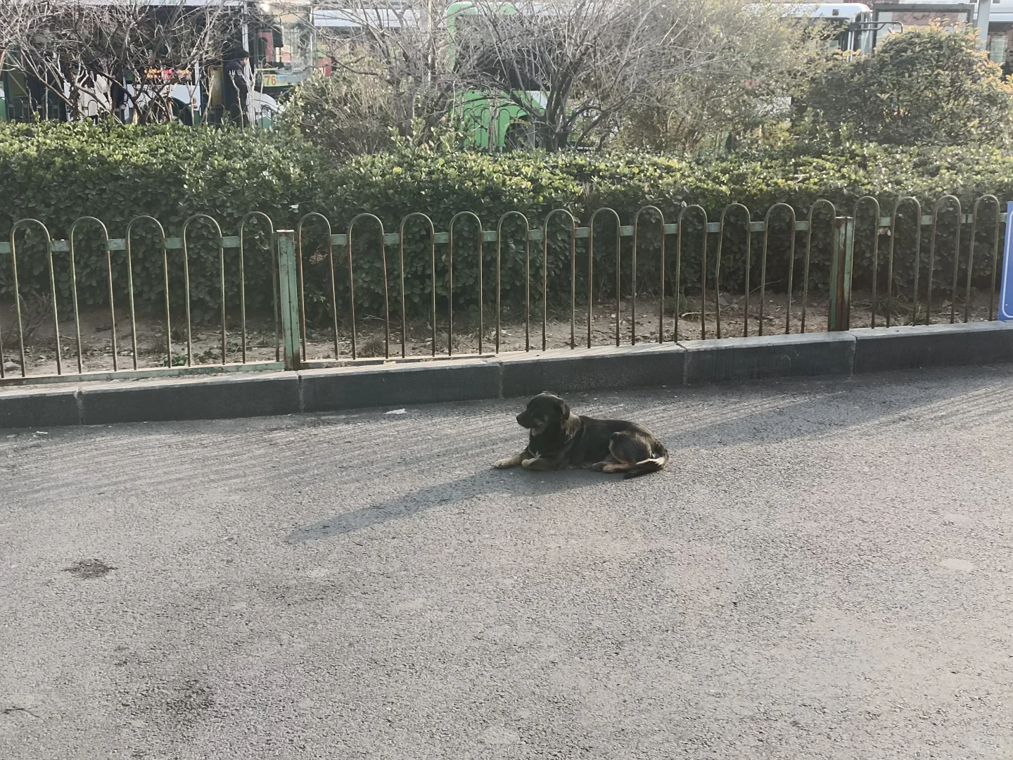 邯郸是不是真的除了销售就是客服和主播？