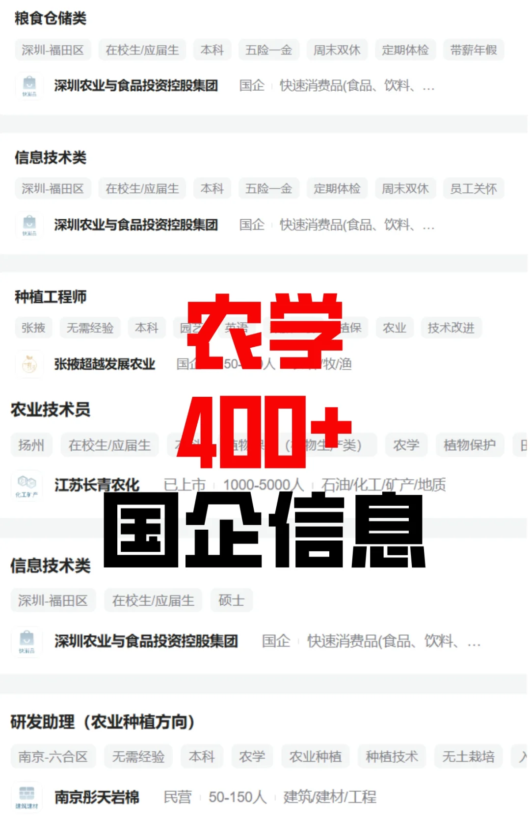 农业国企岗位捞人啦!