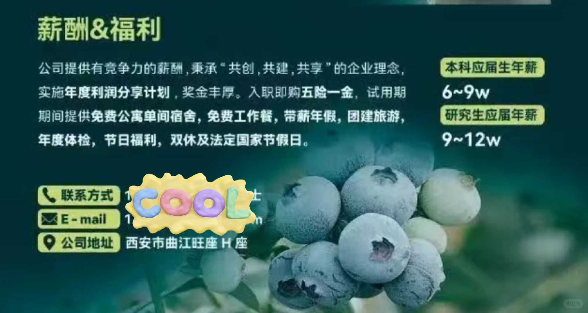 农学有岗 薪资可观｜蓝莓种植公司