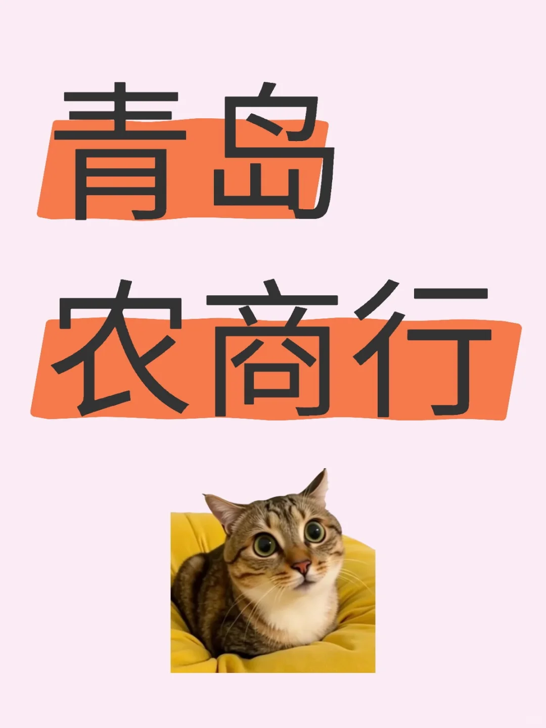 青岛农商行上车