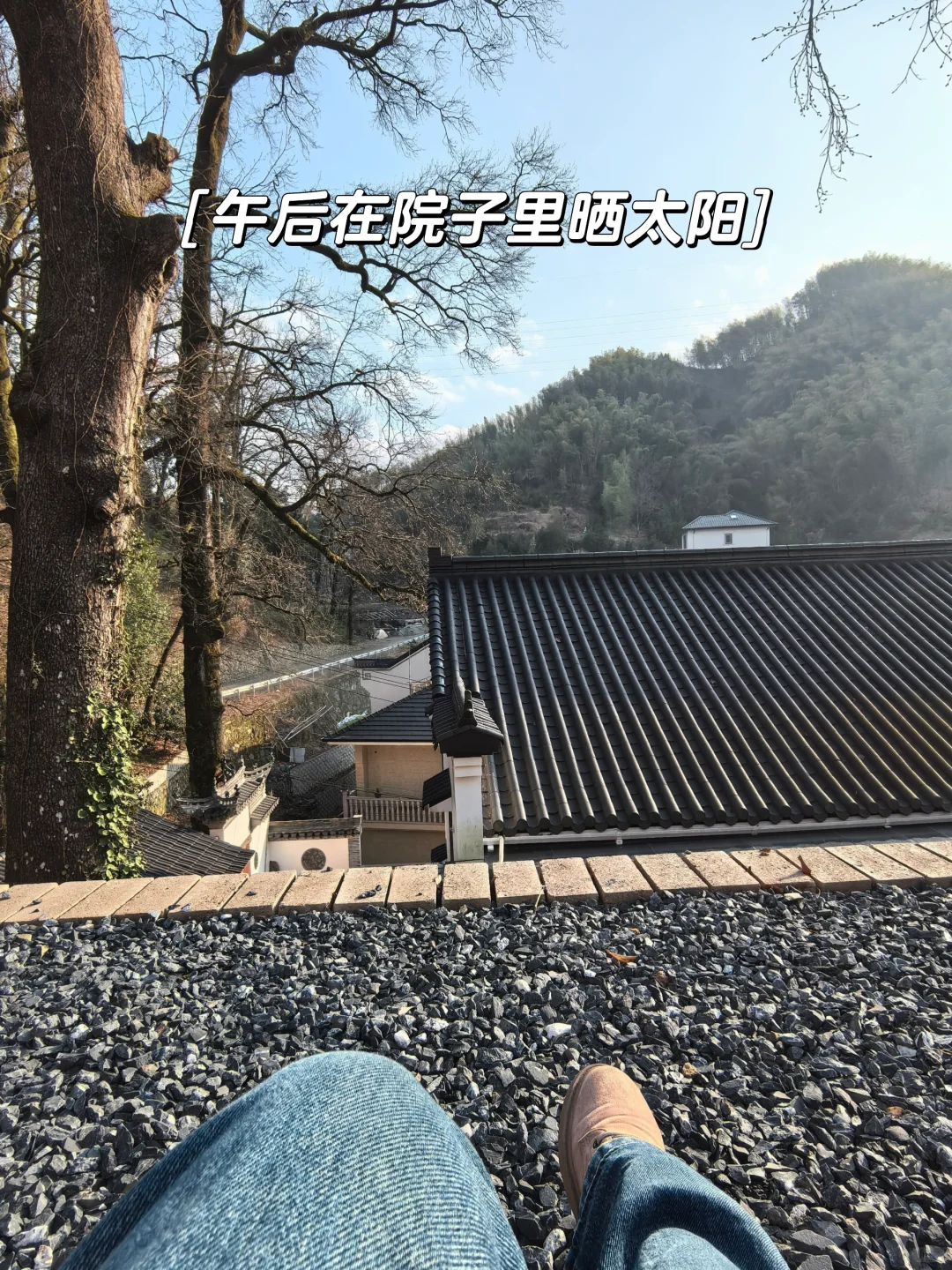 我找到工作啦,公司在山里,只有我一个员工